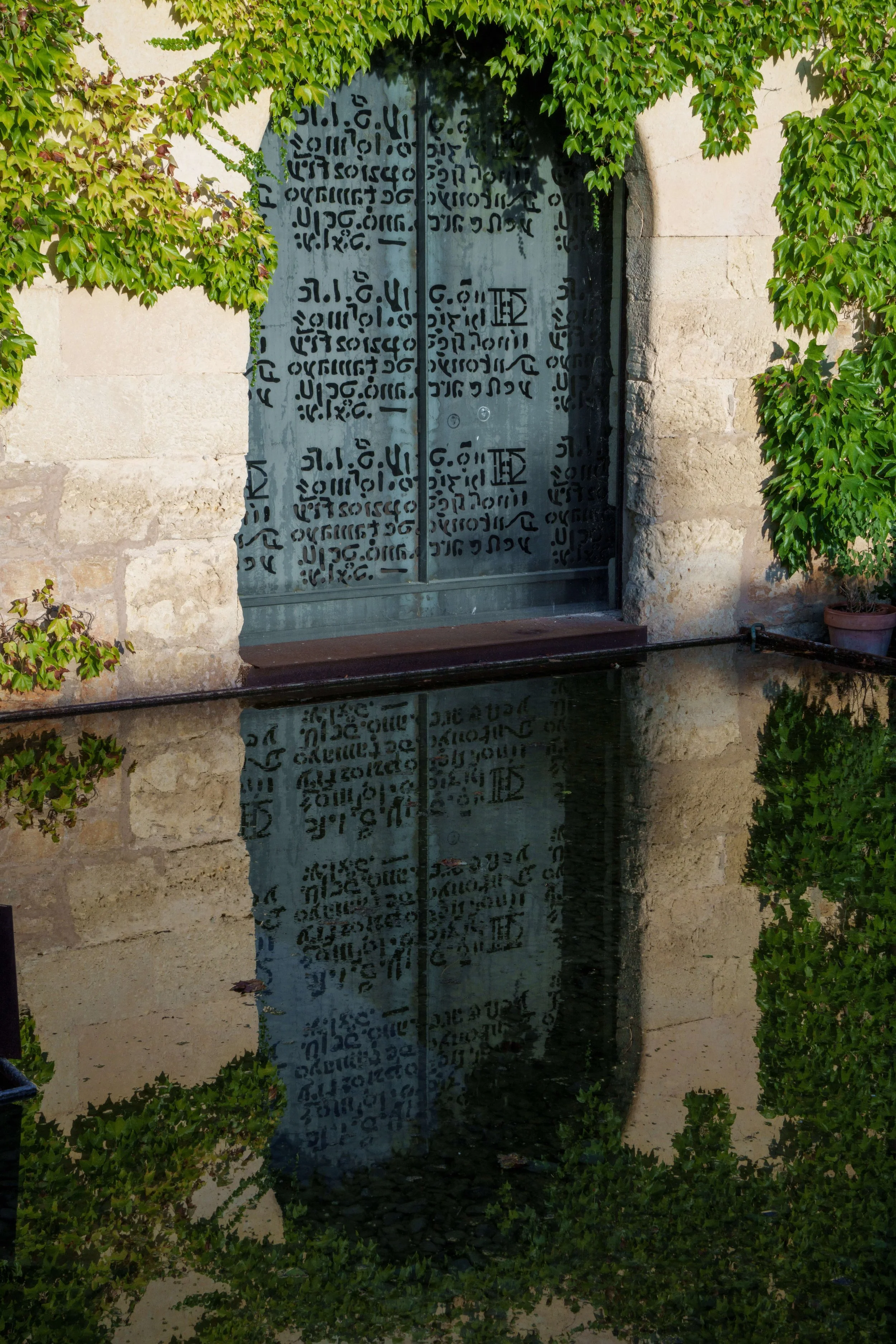 DSC07533.jpg