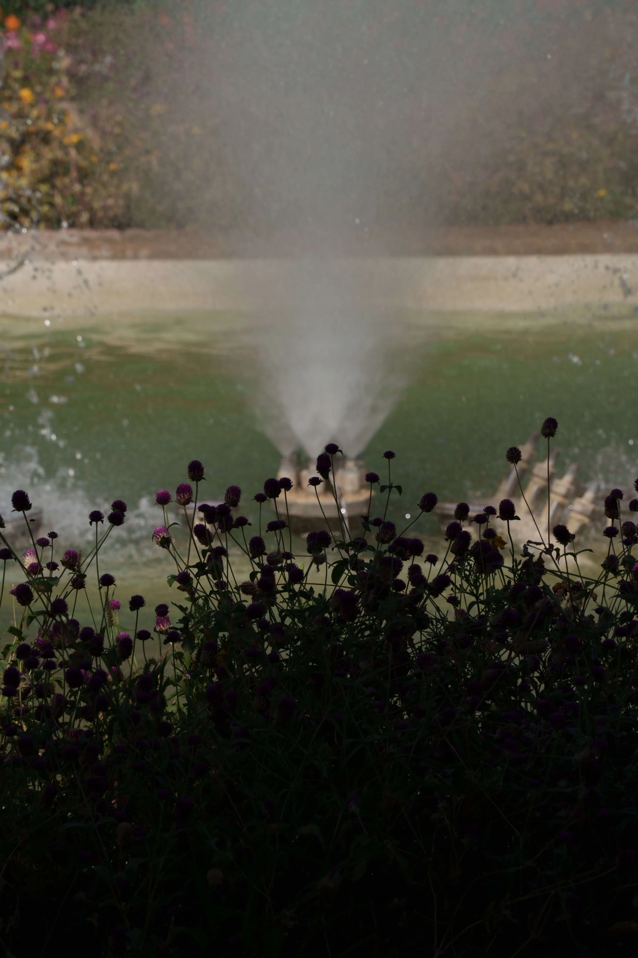Jardines del Alcazar de los Reyes Cristianos