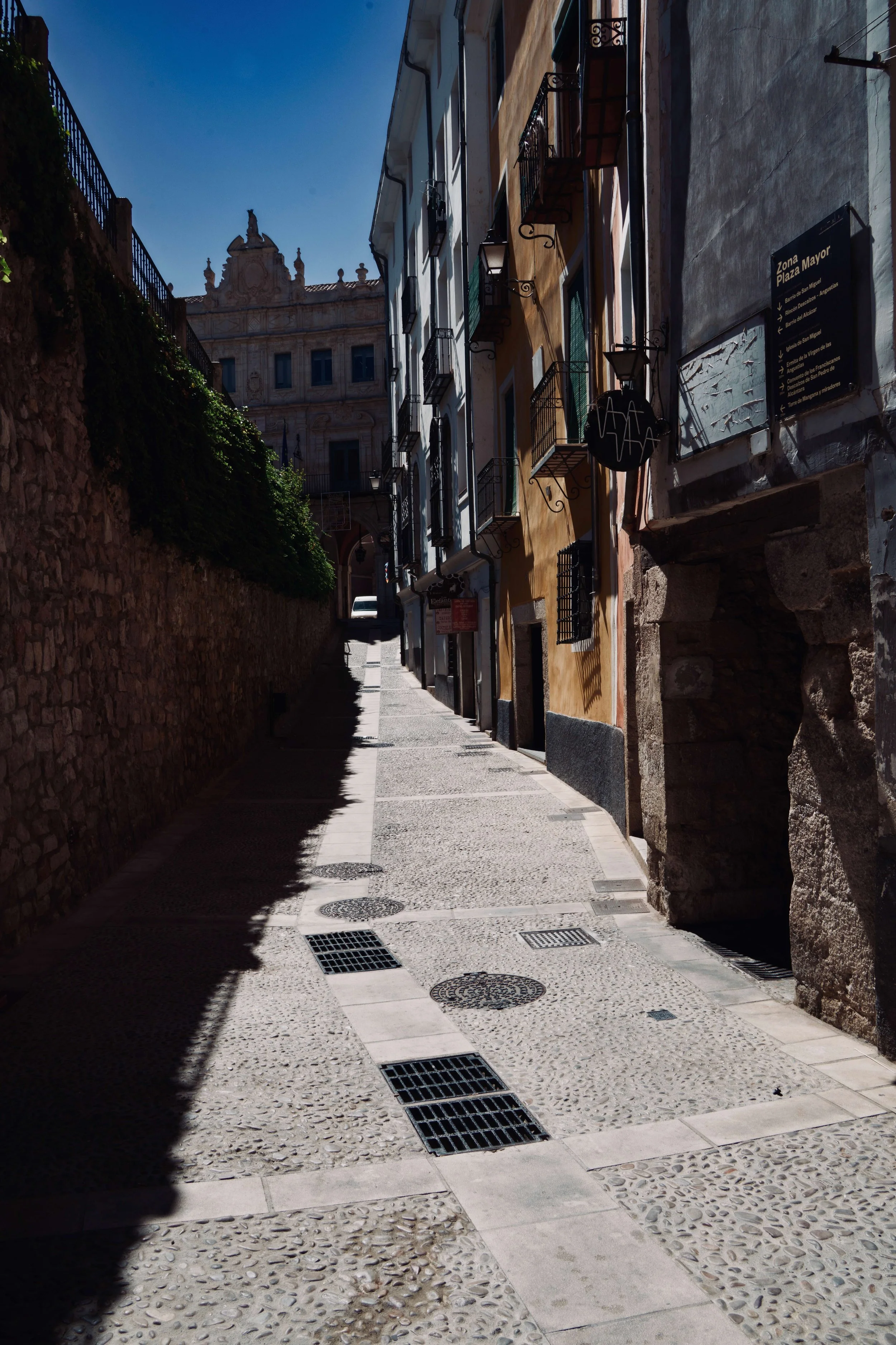 DSC08383.jpg