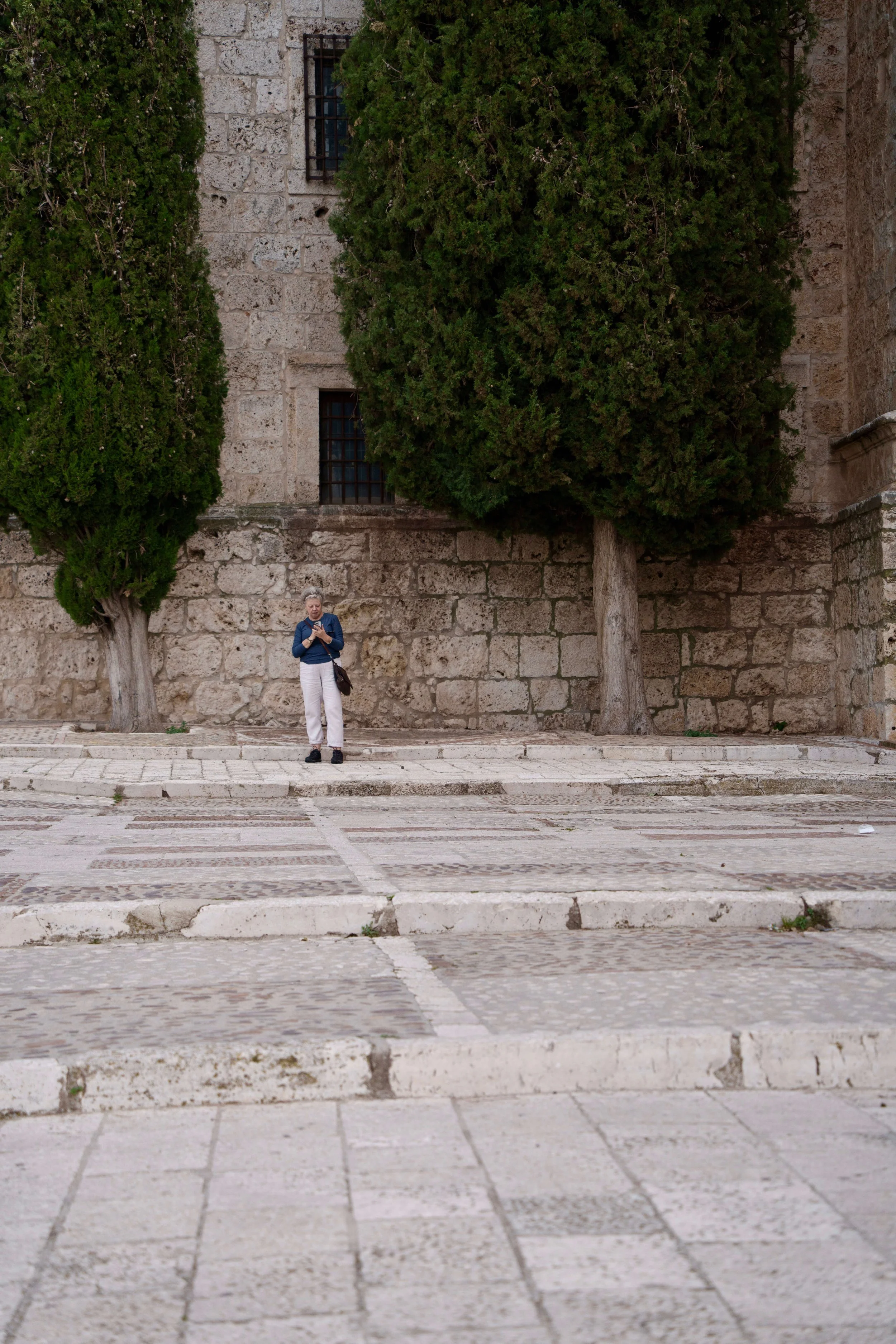 DSC05717.jpg