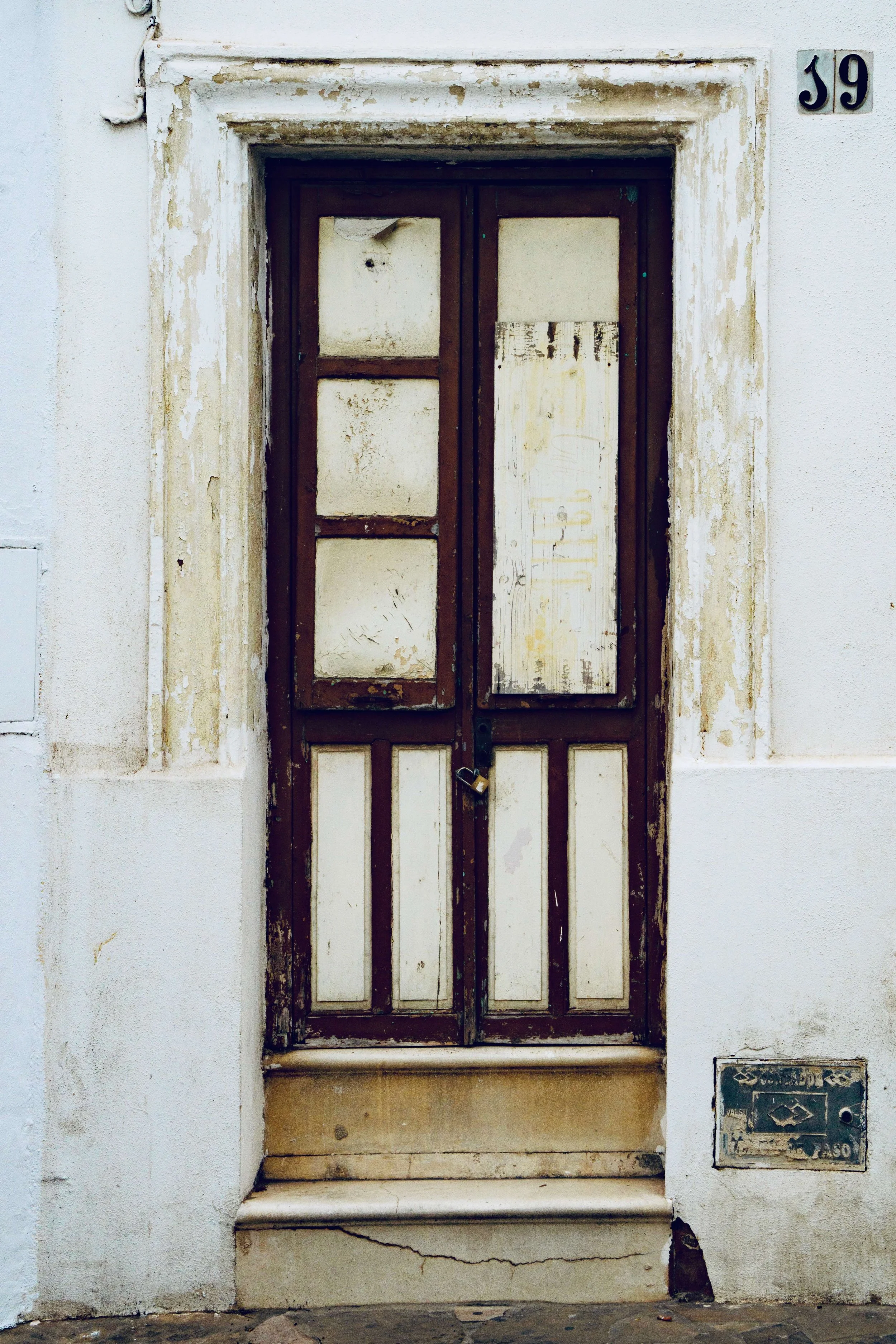 DSC02538.jpg