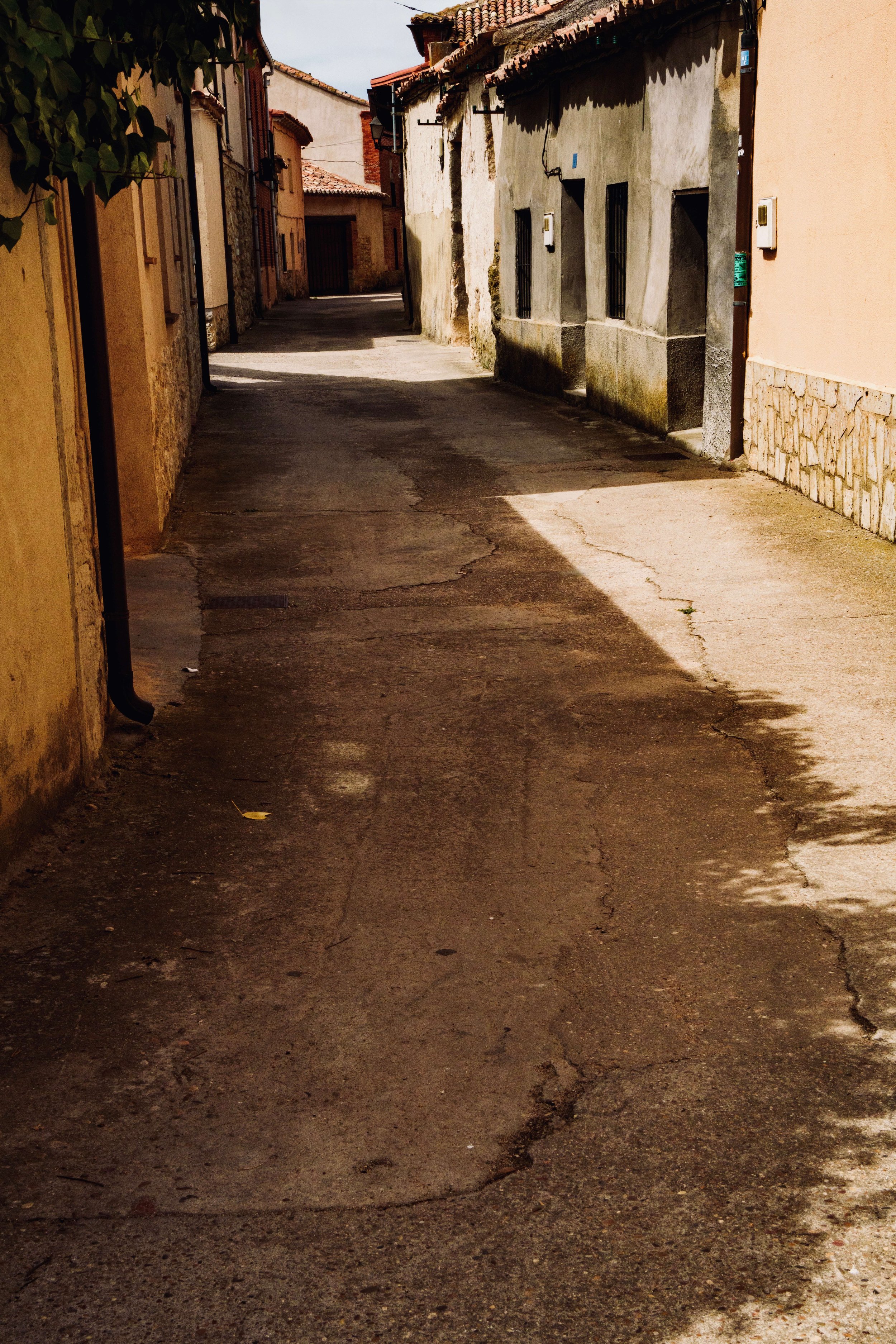 DSC07132.jpg