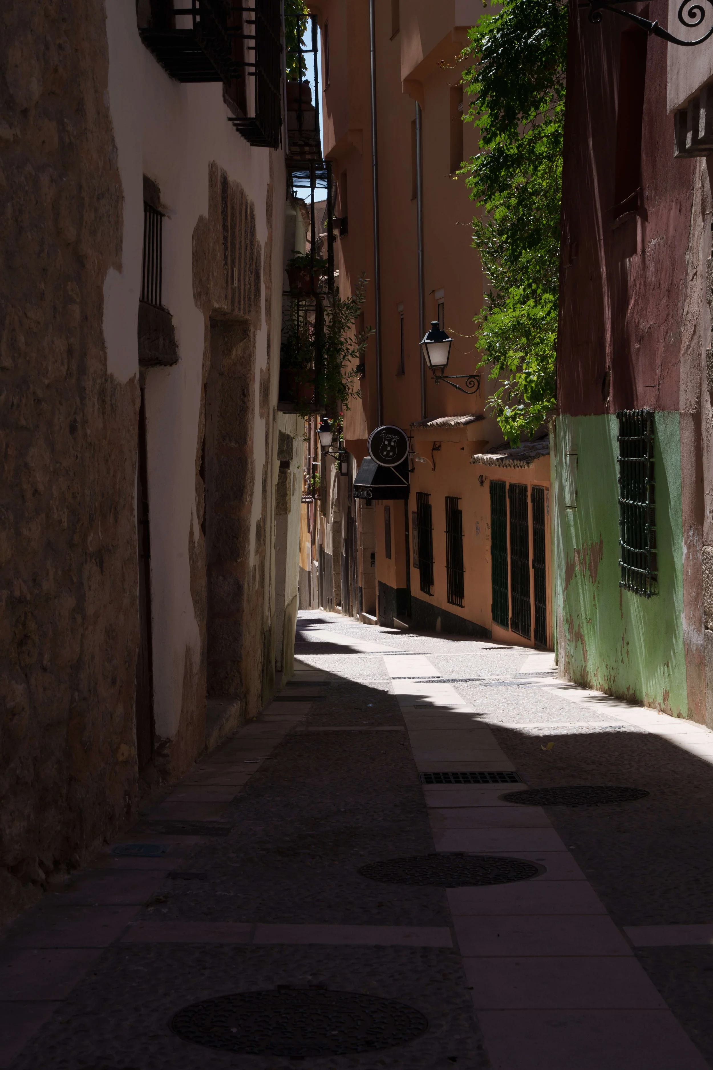 DSC08394.jpg