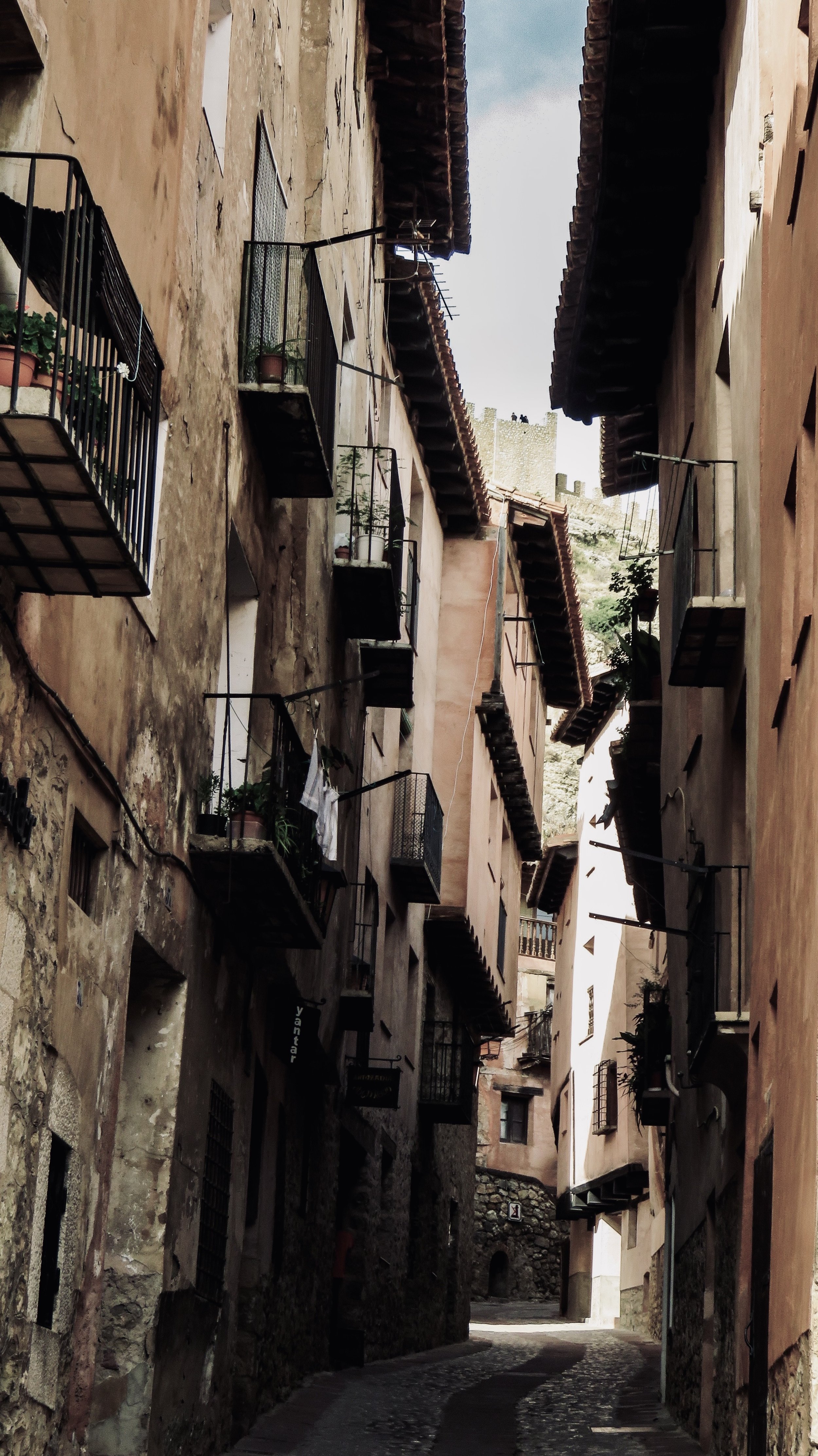 IMG_5176.jpeg
