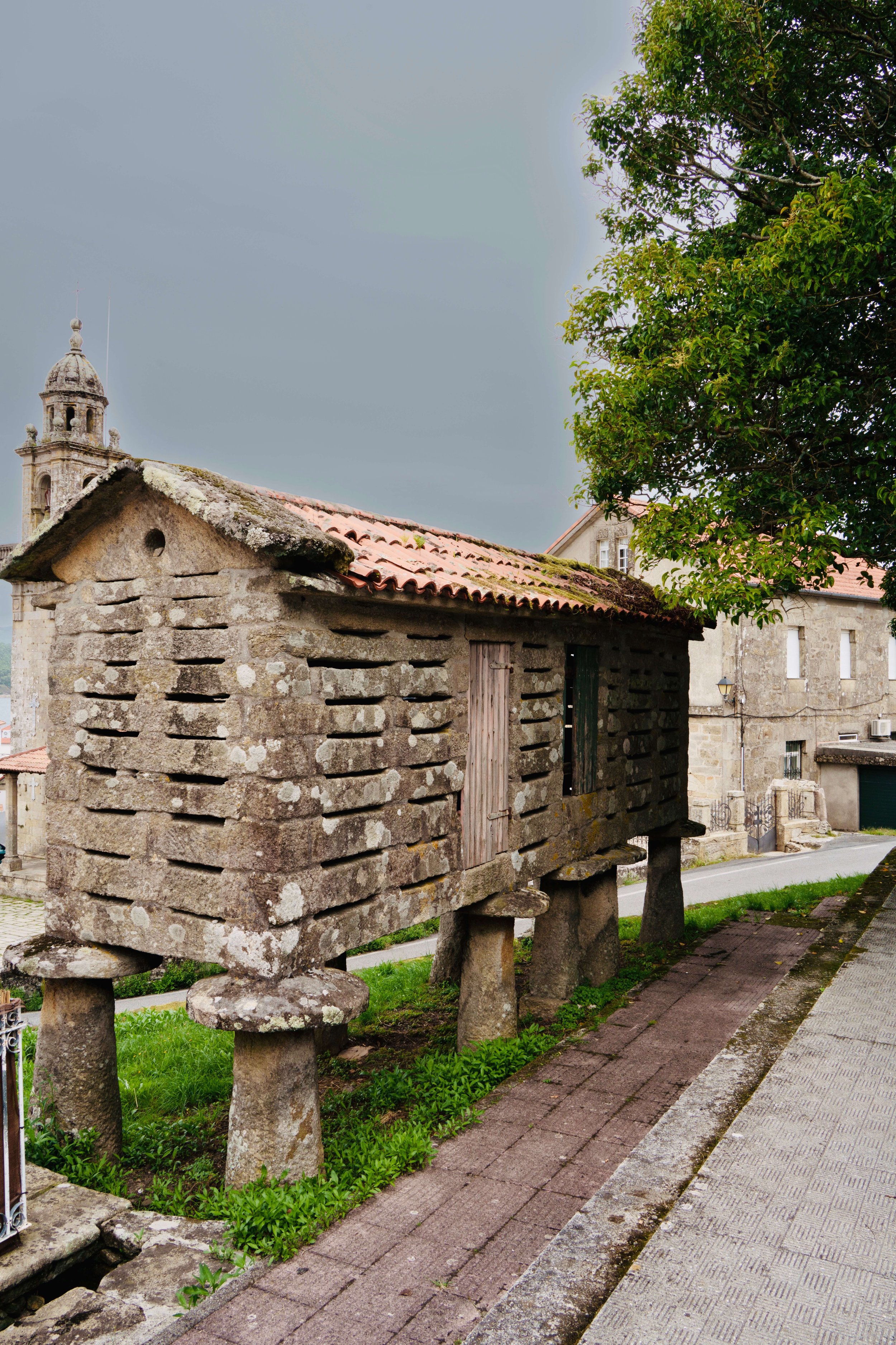 DSC01775.jpg