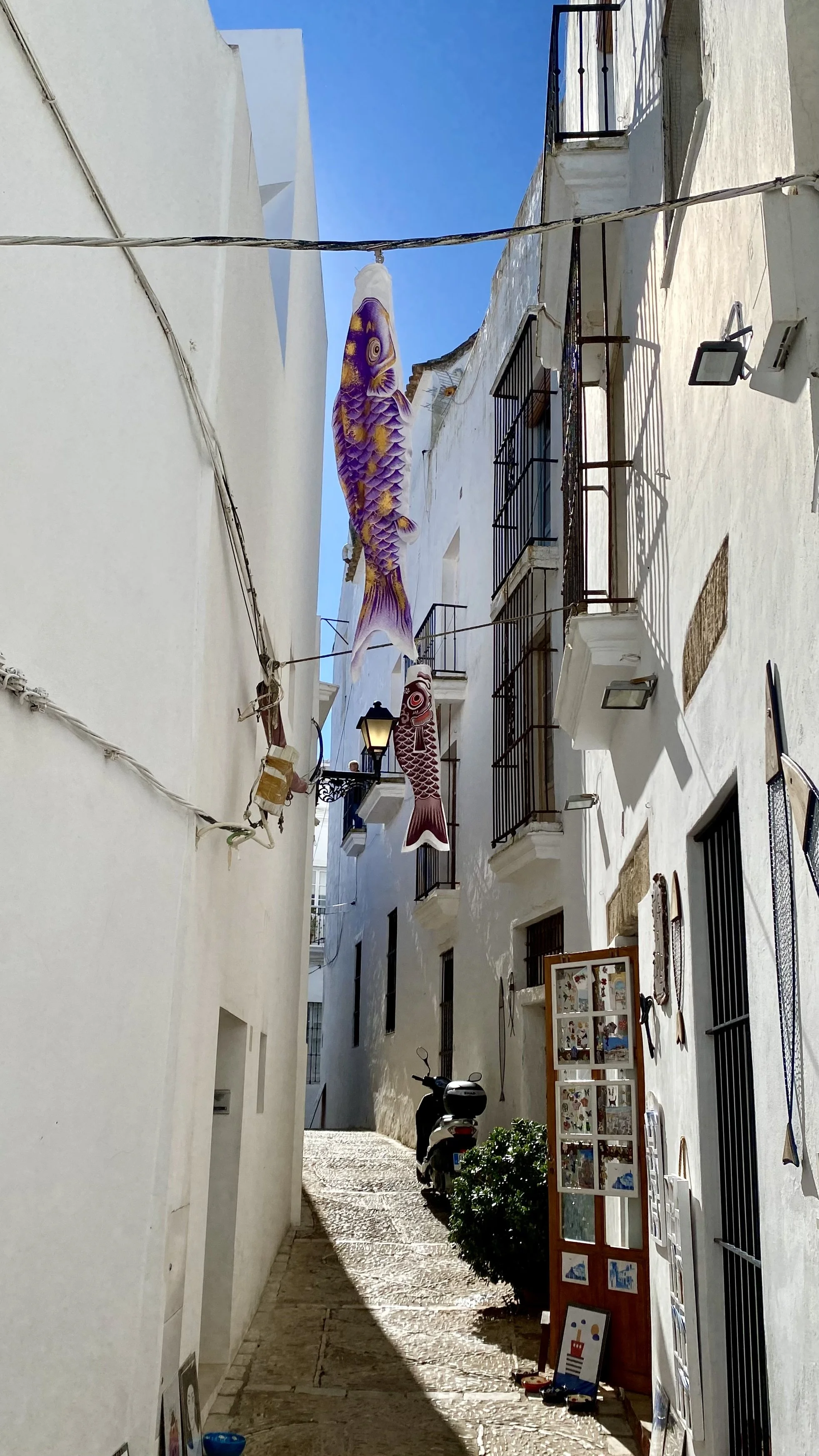 IMG_8760.jpeg