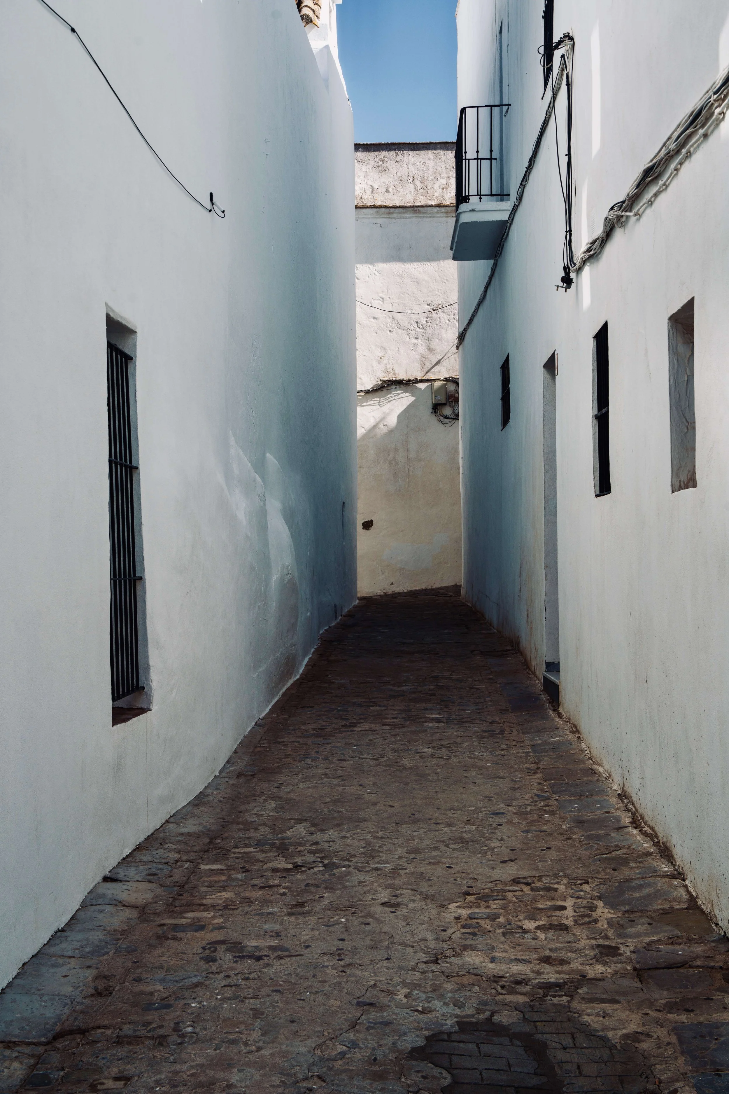 DSC09914.jpg