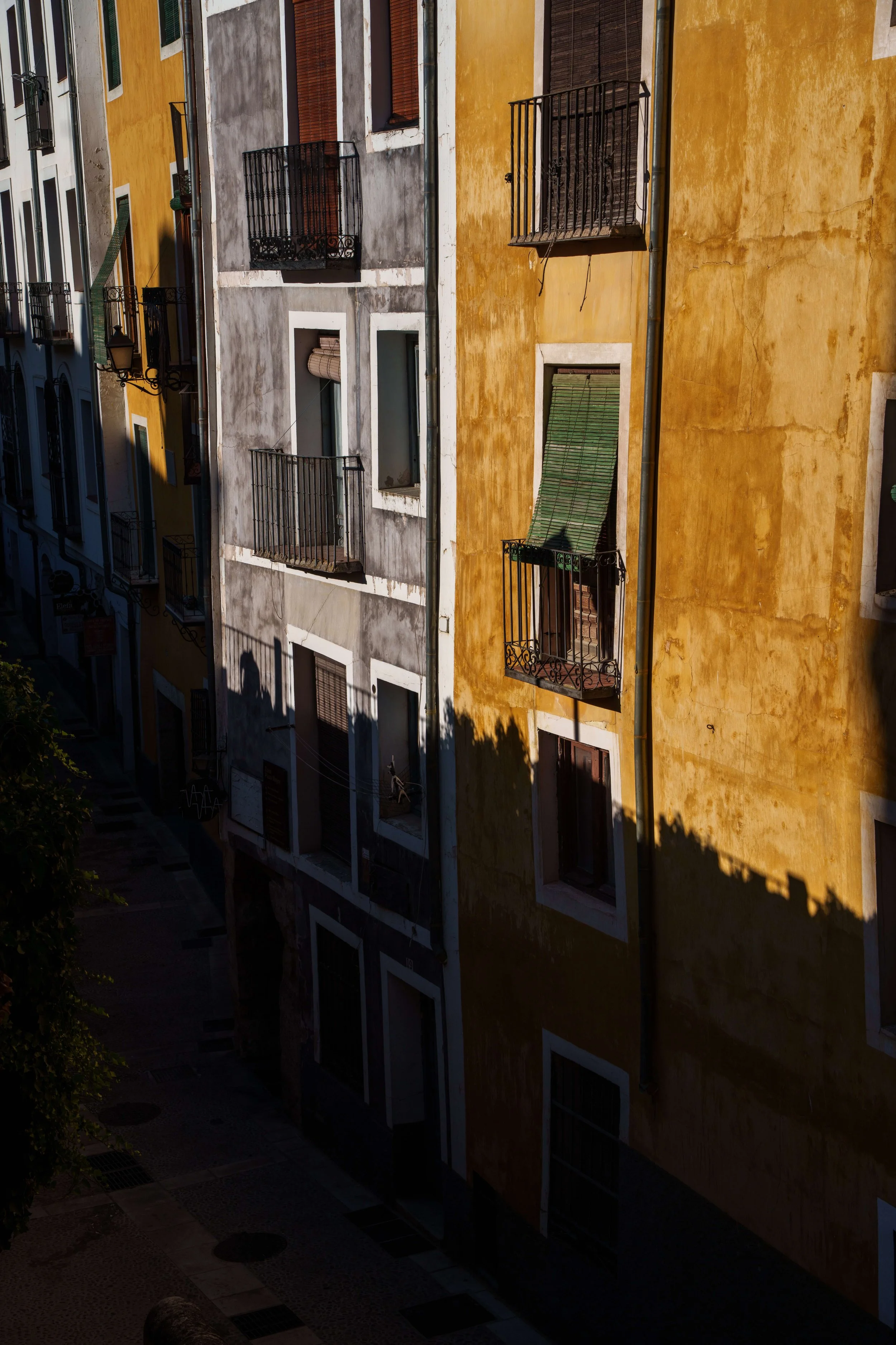 DSC08249.jpg