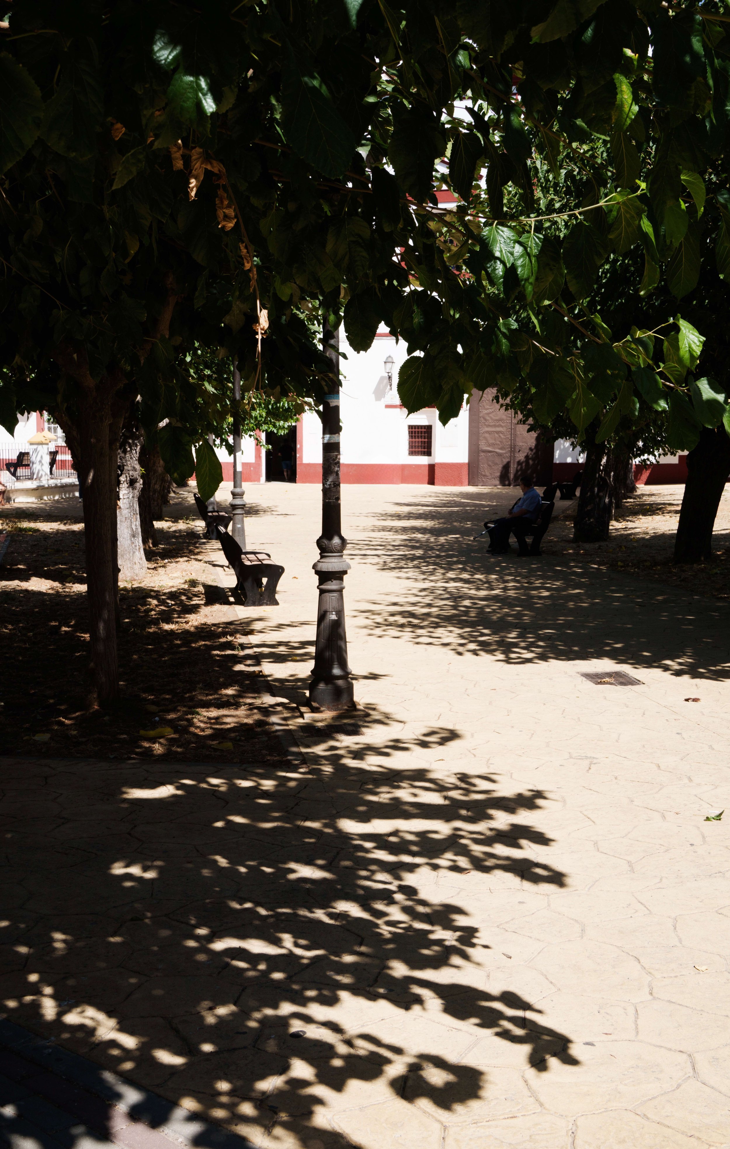 DSC02482.jpg