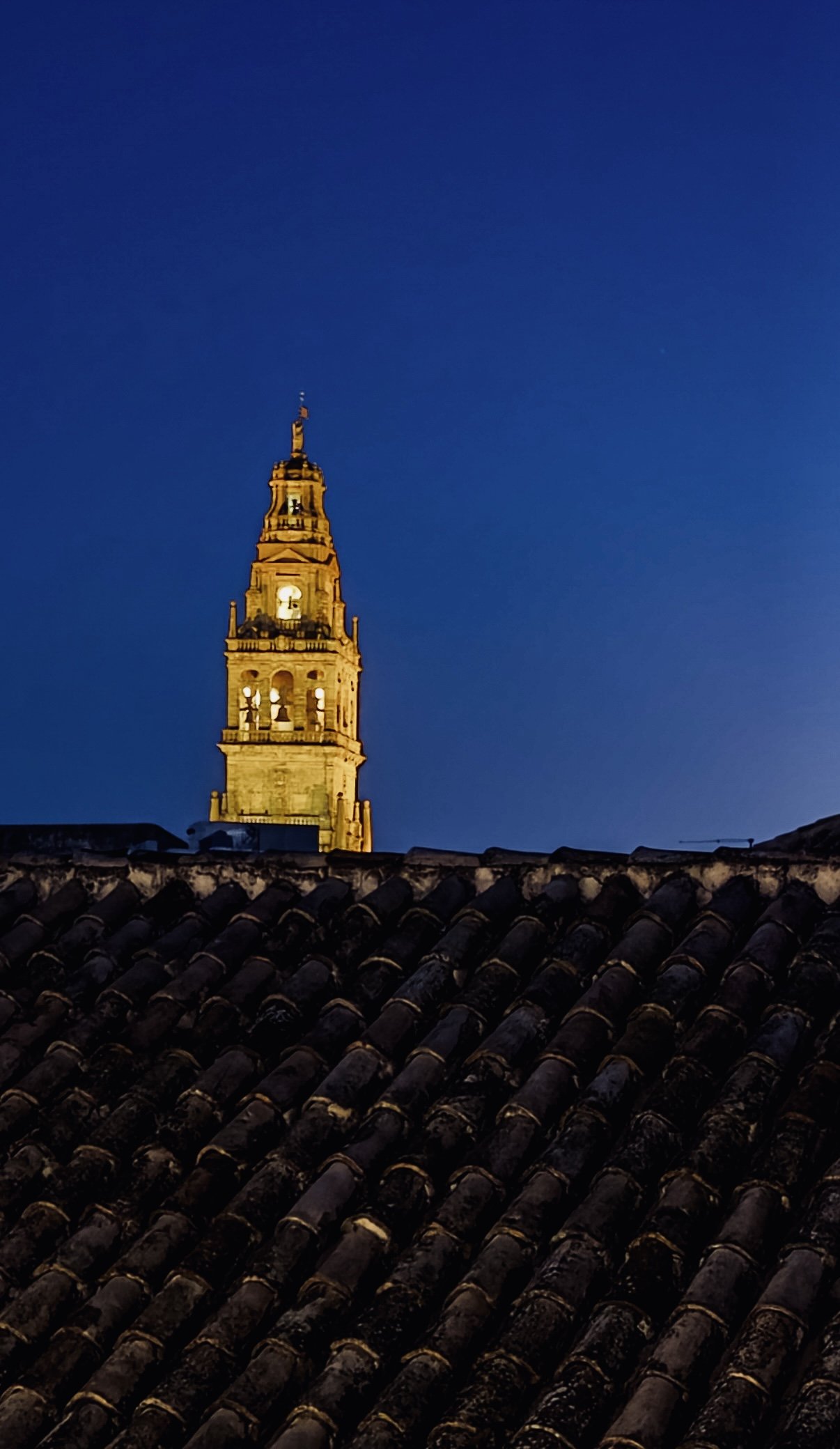 Hotel las Casas de la Juderia