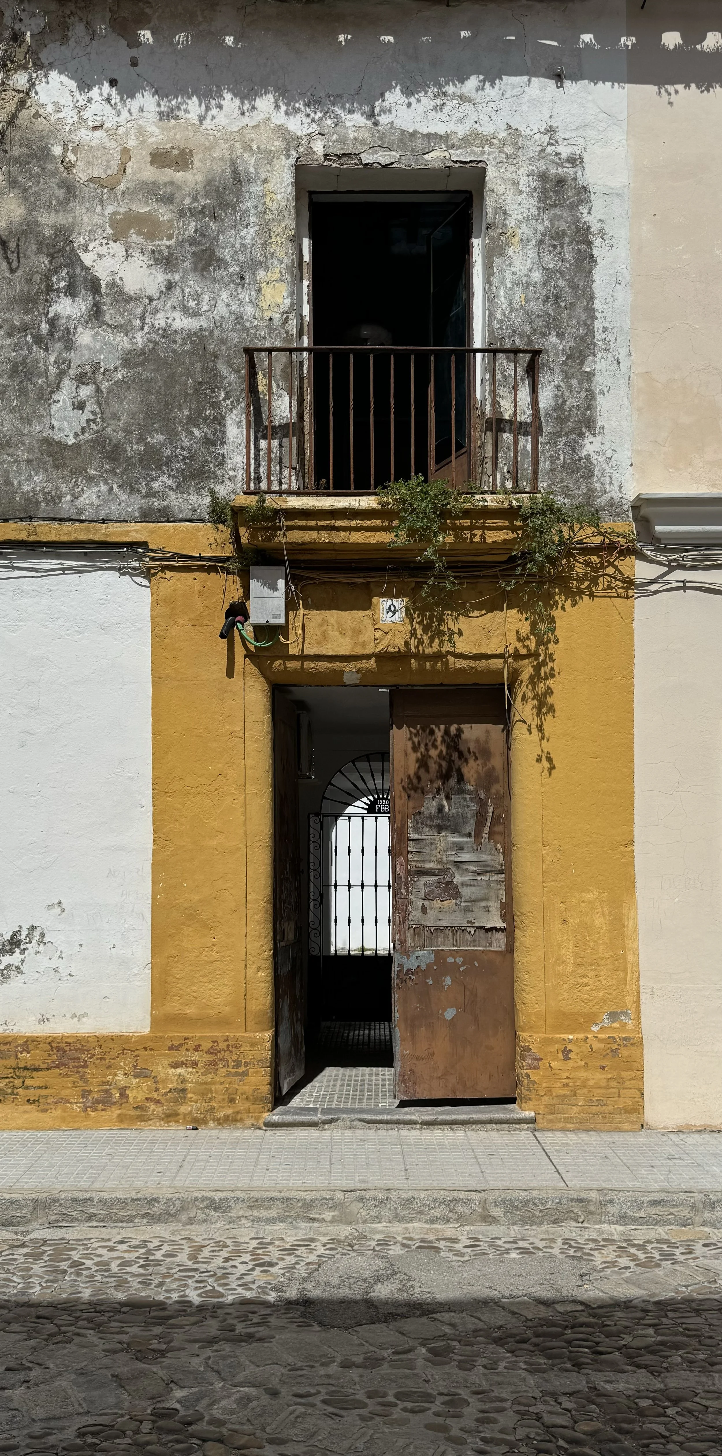 IMG_1248.jpeg
