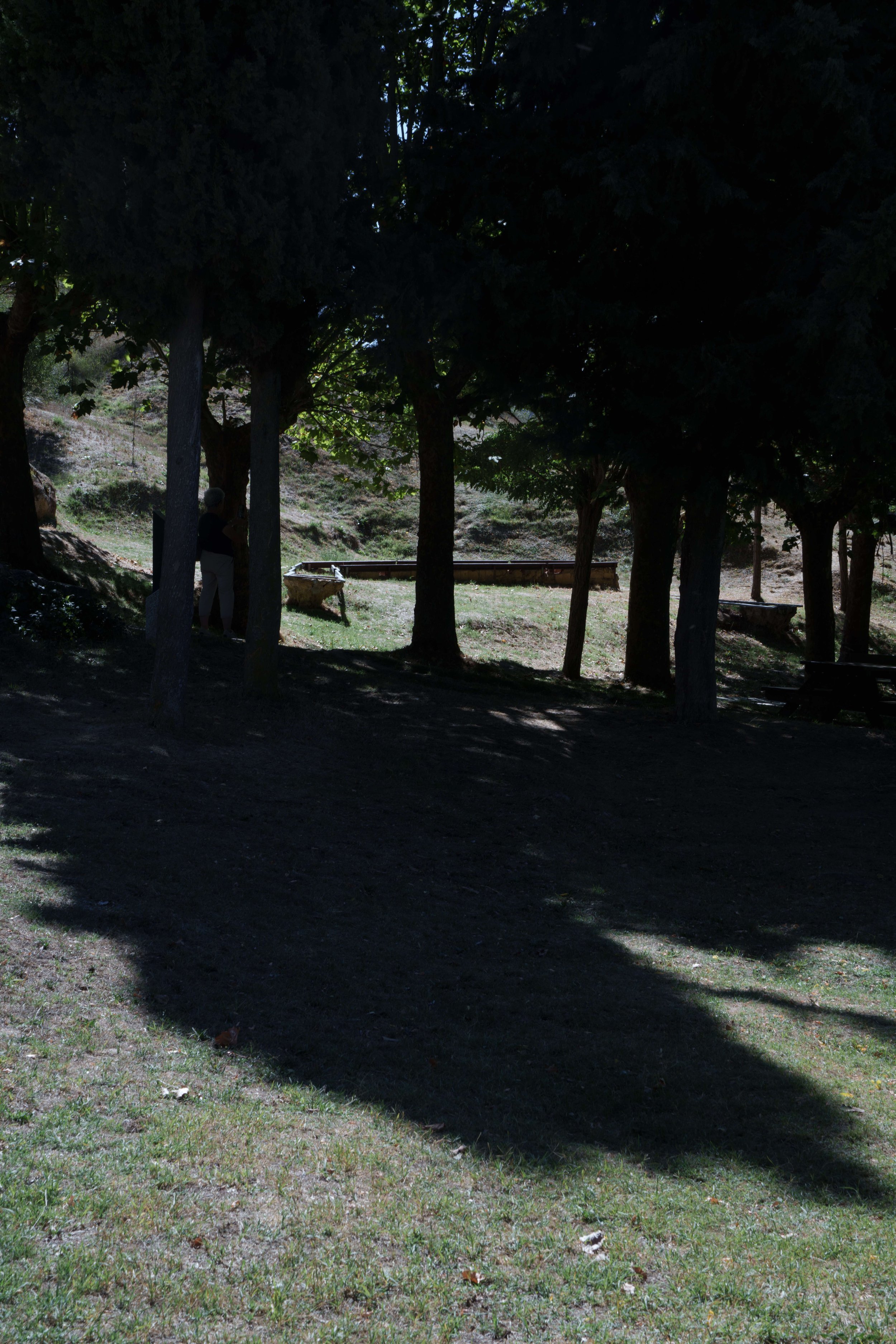 DSC07949.jpg
