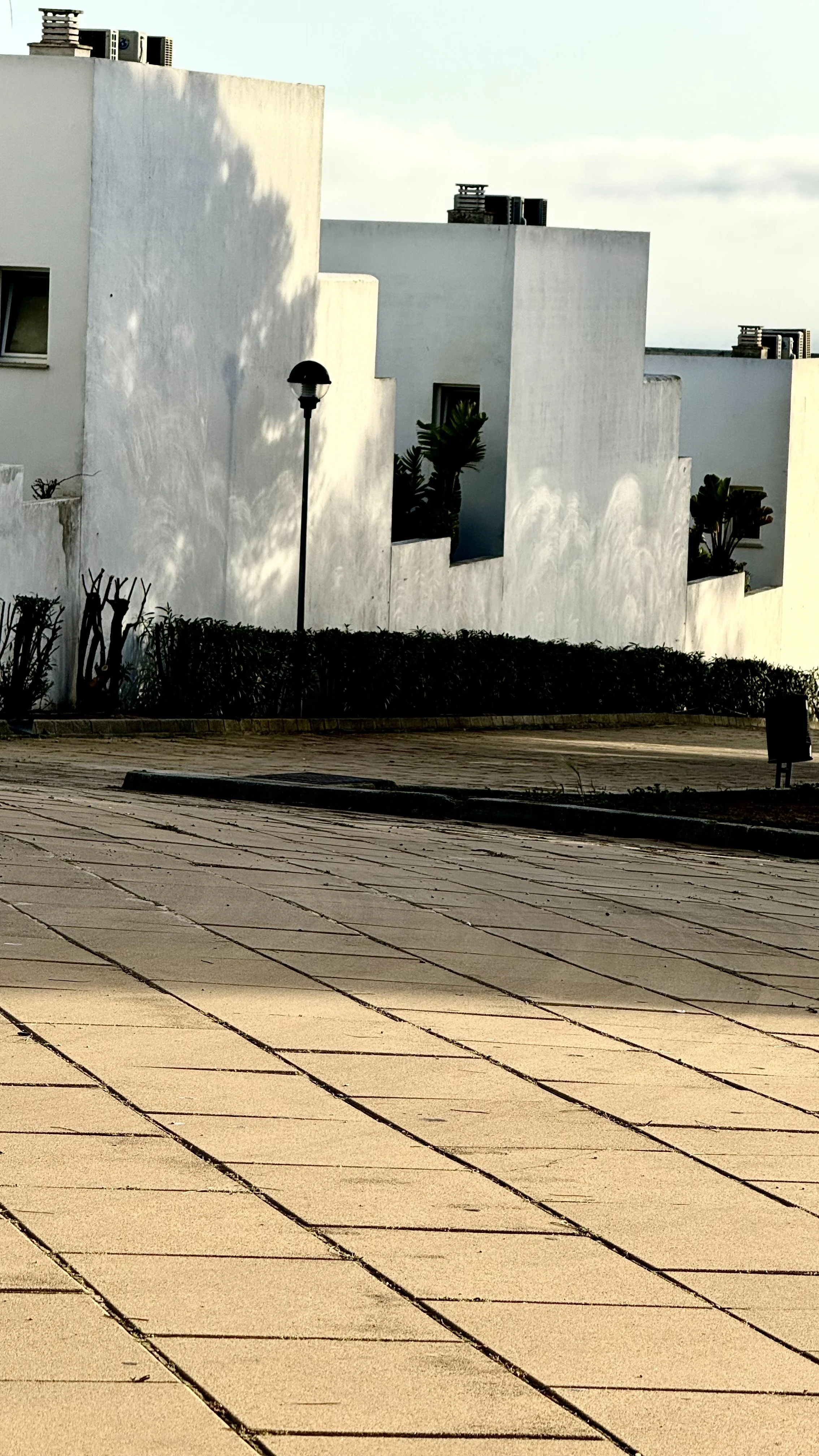 IMG_1086.jpeg