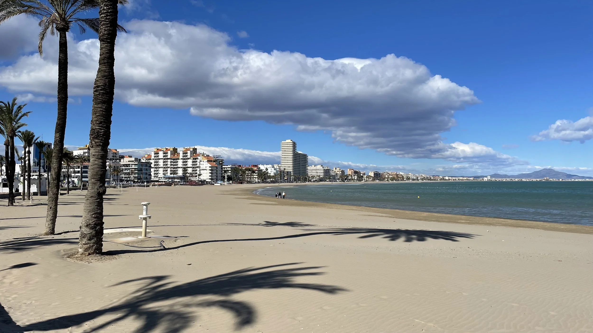 IMG_6141.jpeg