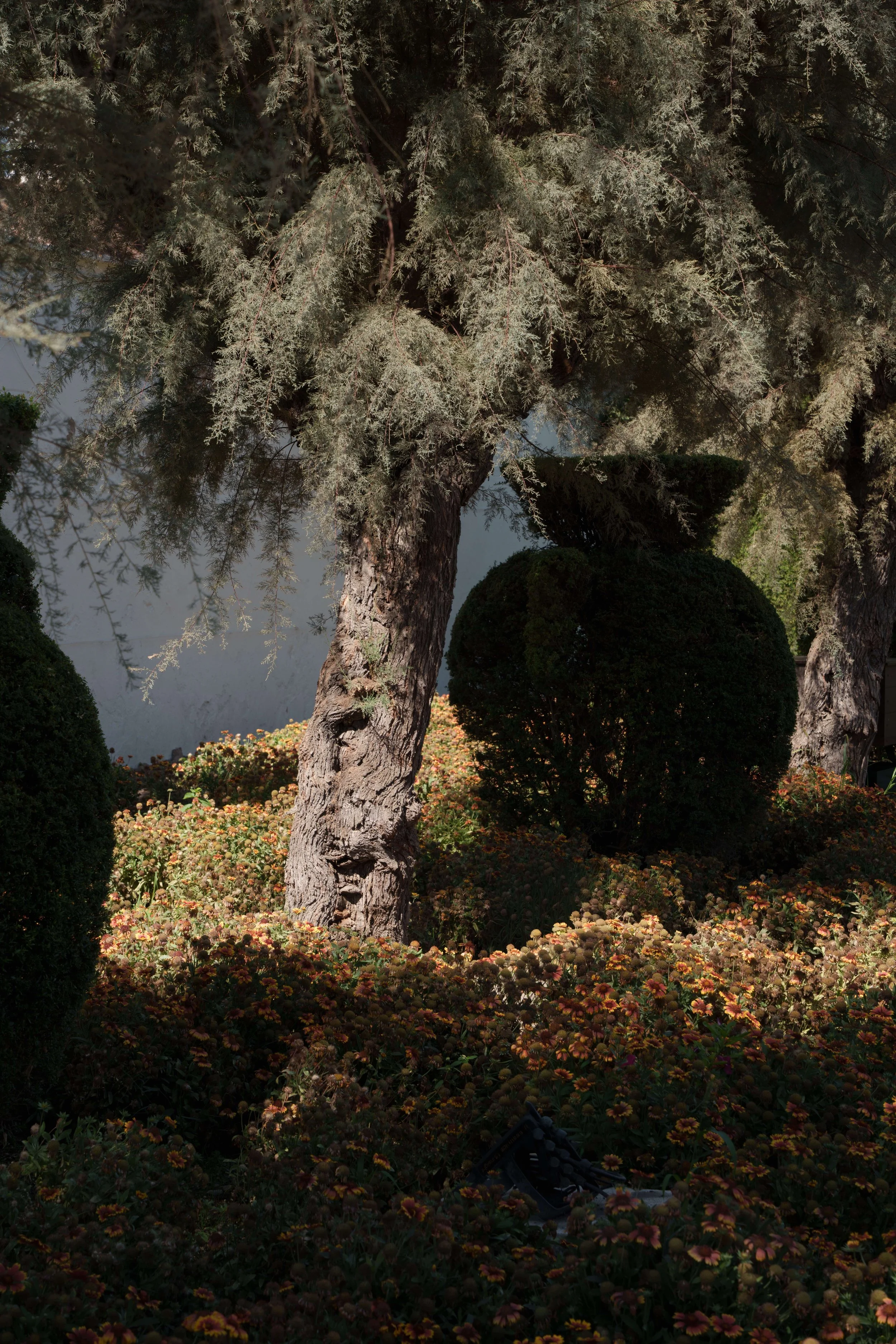 Jardines del Alcazar de los Reyes Cristianos