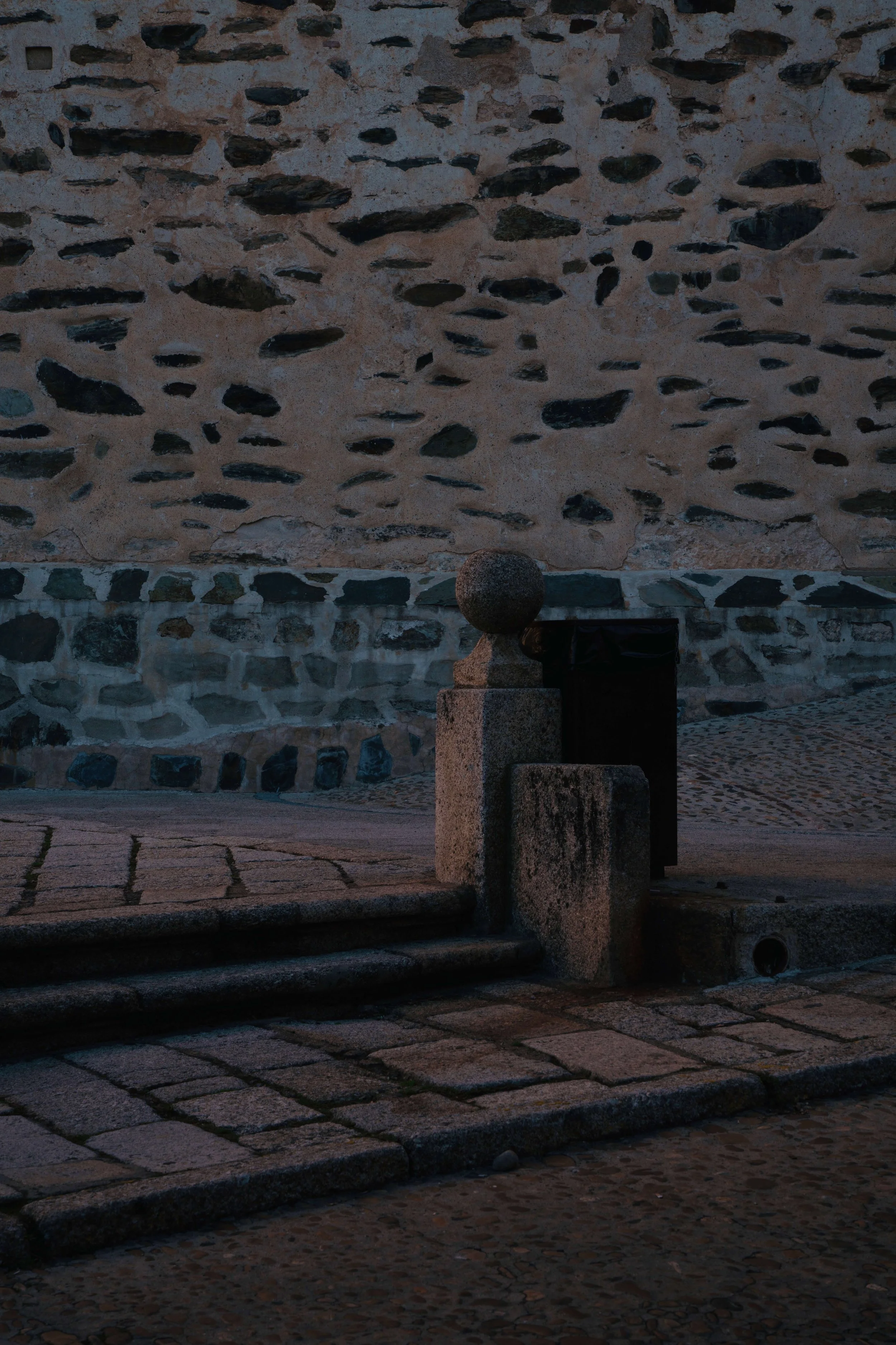DSC03017.jpg