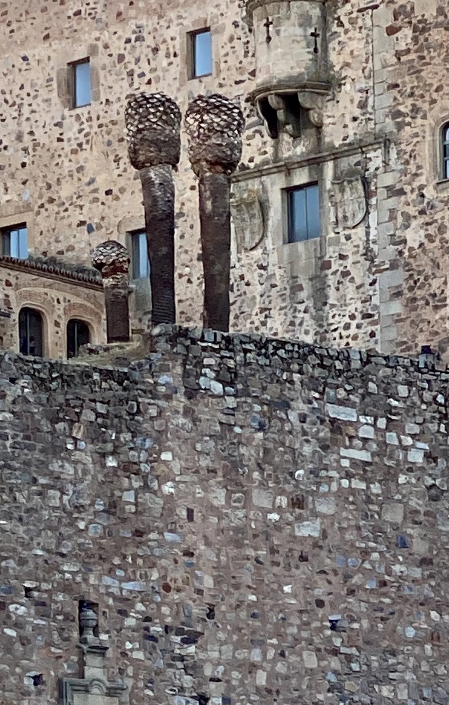 IMG_7482.jpeg