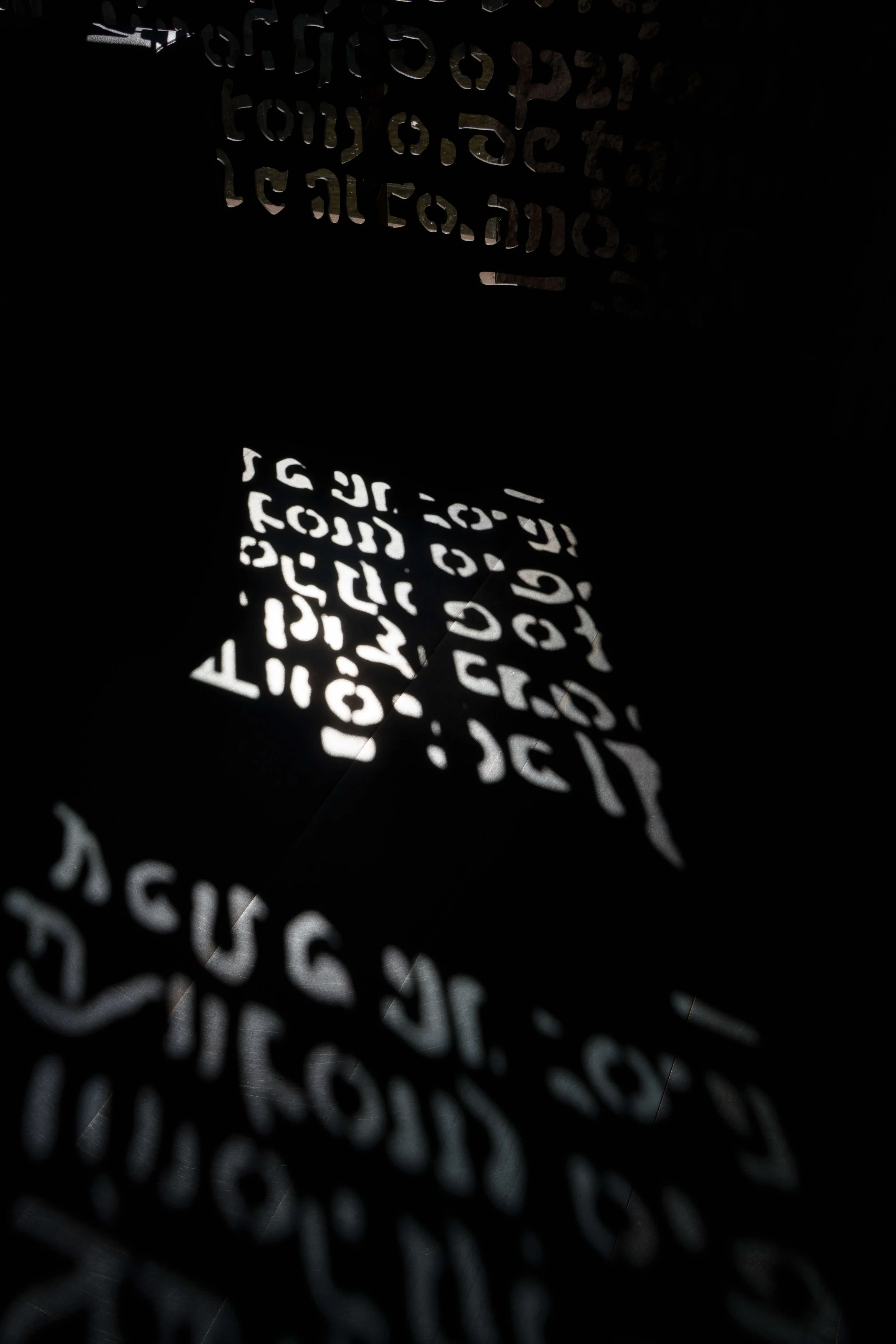 DSC07428.jpg