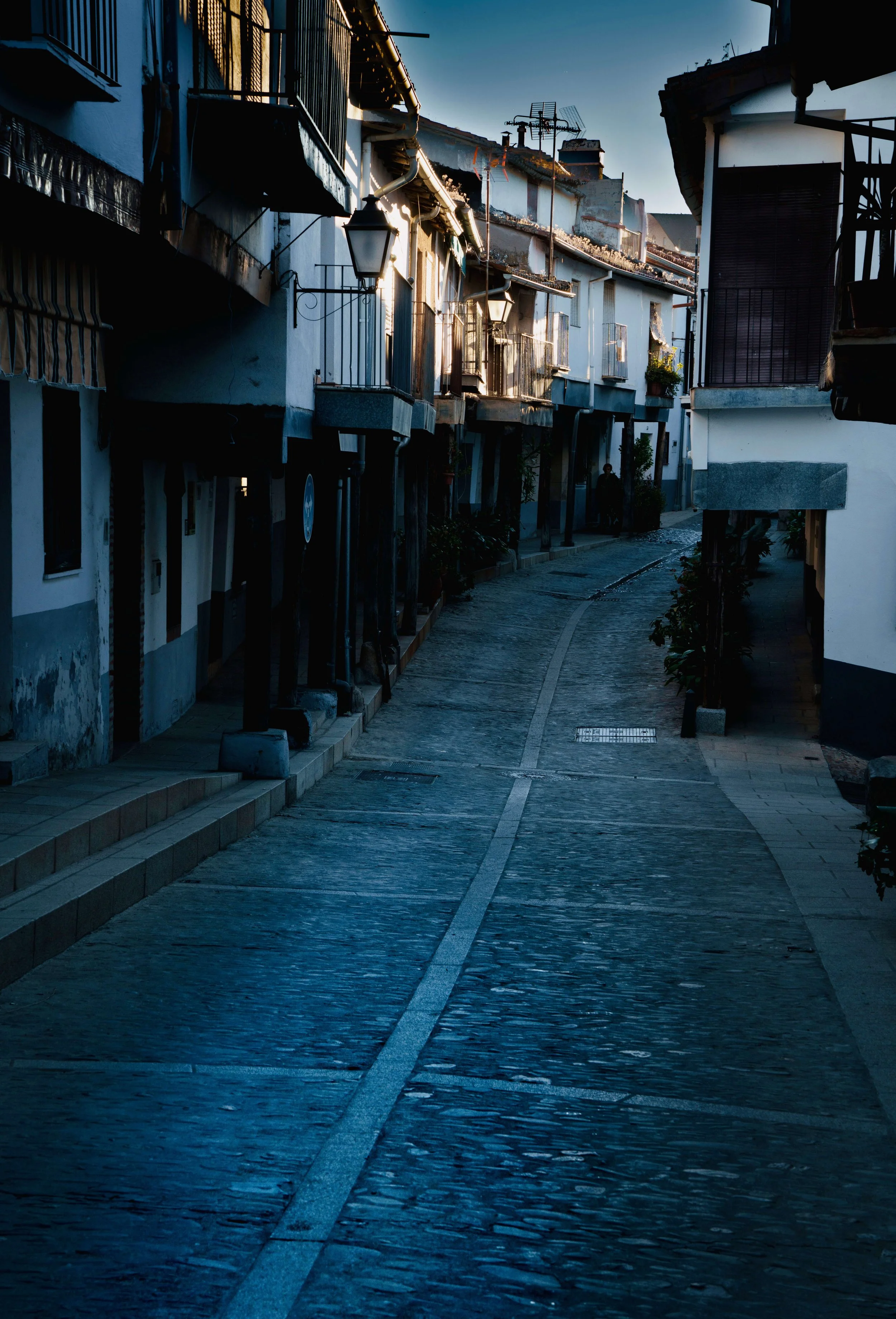 DSC02987.jpg