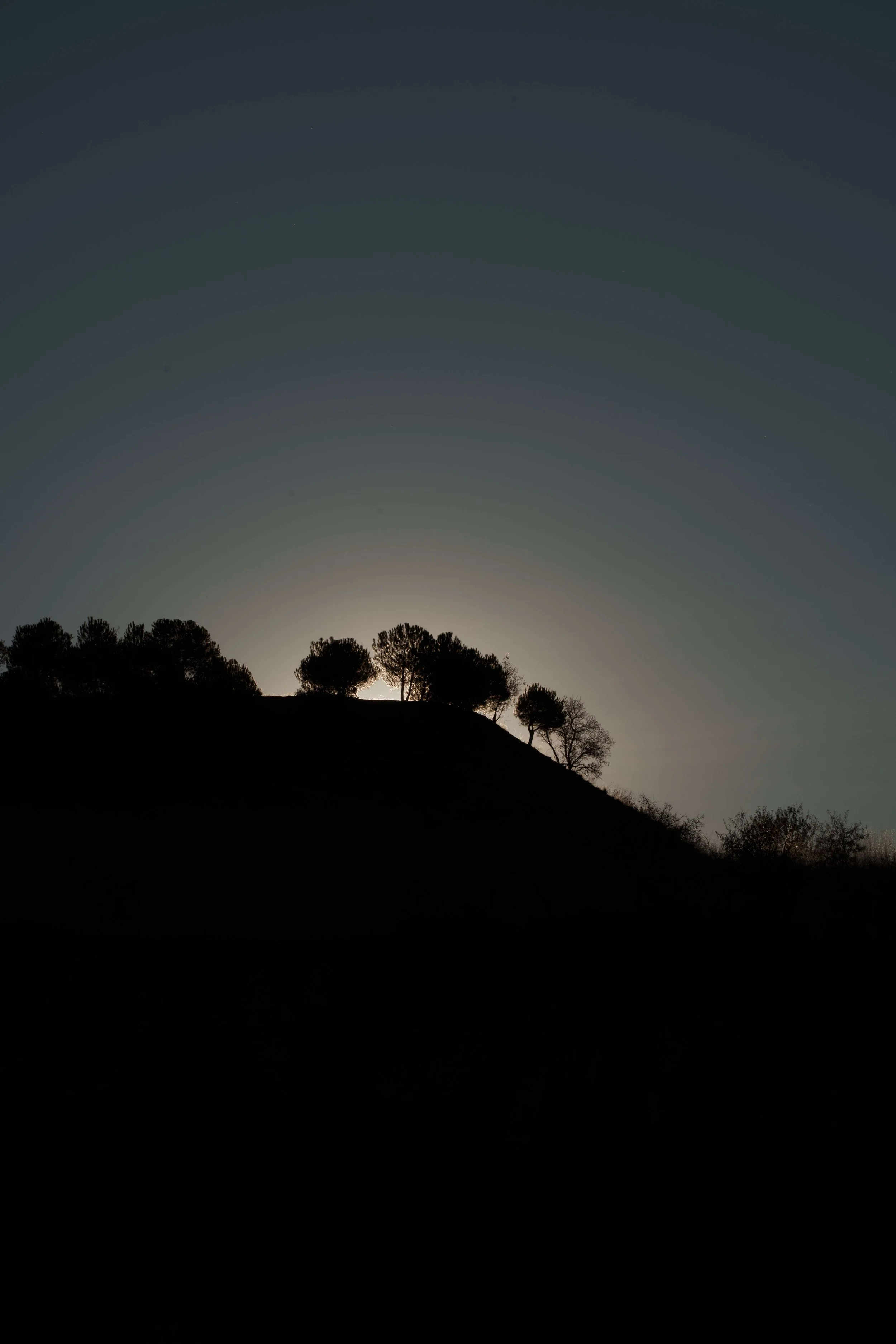 DSC01986.jpg
