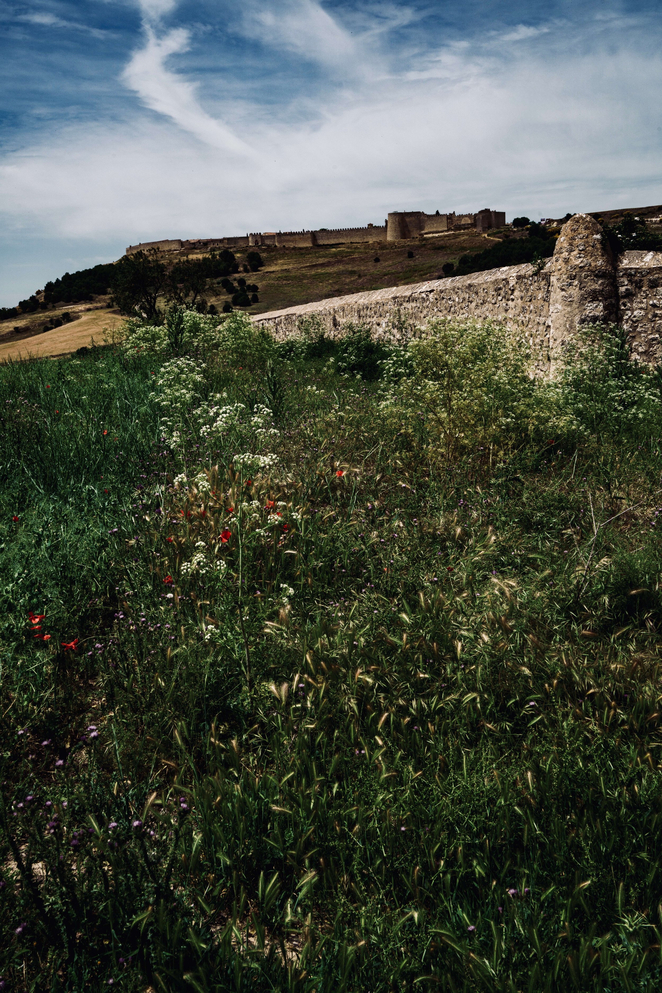 El Castillo y las Murallas