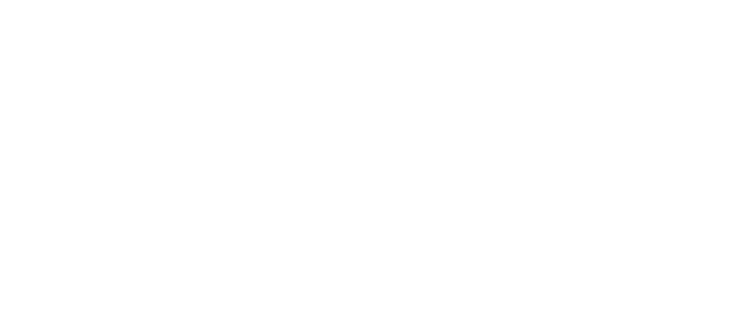 Fin AI