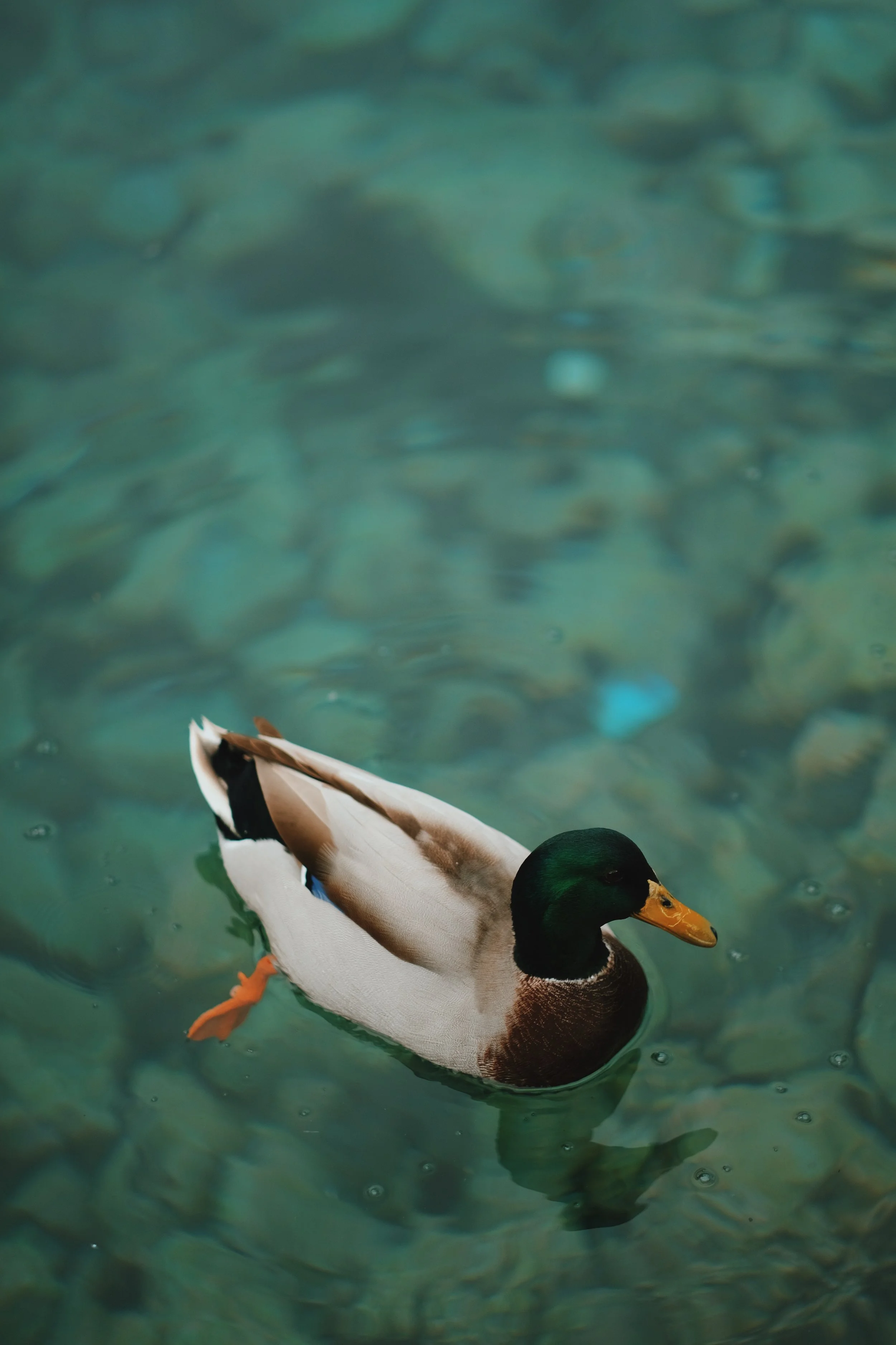 High-Functioning Anxiety: What It Is, How It Feels, and What to Do About It