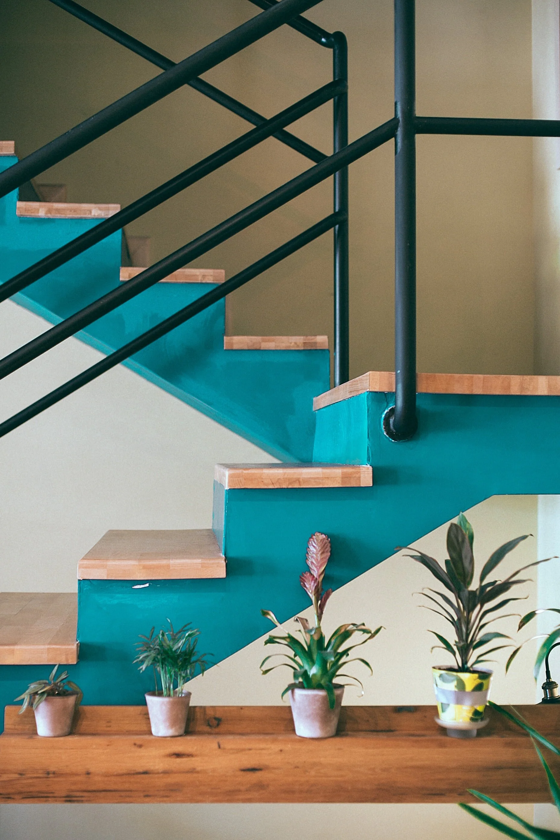 Photo of a staircase with wooden steps, teal risers, and black metal railing, with a wooden countertop and potted plants at the bottom.
