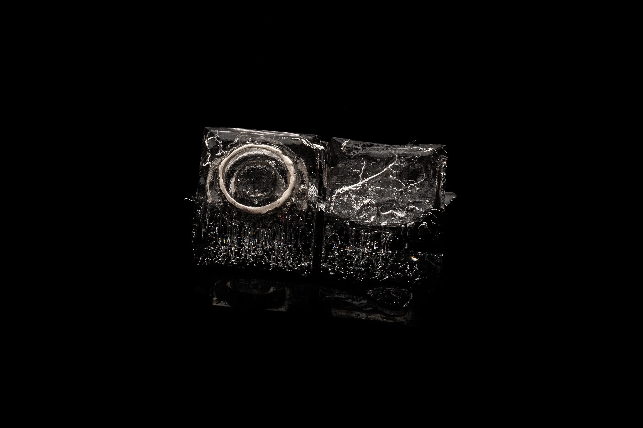 TOM_STILL_LIFE6173.jpg