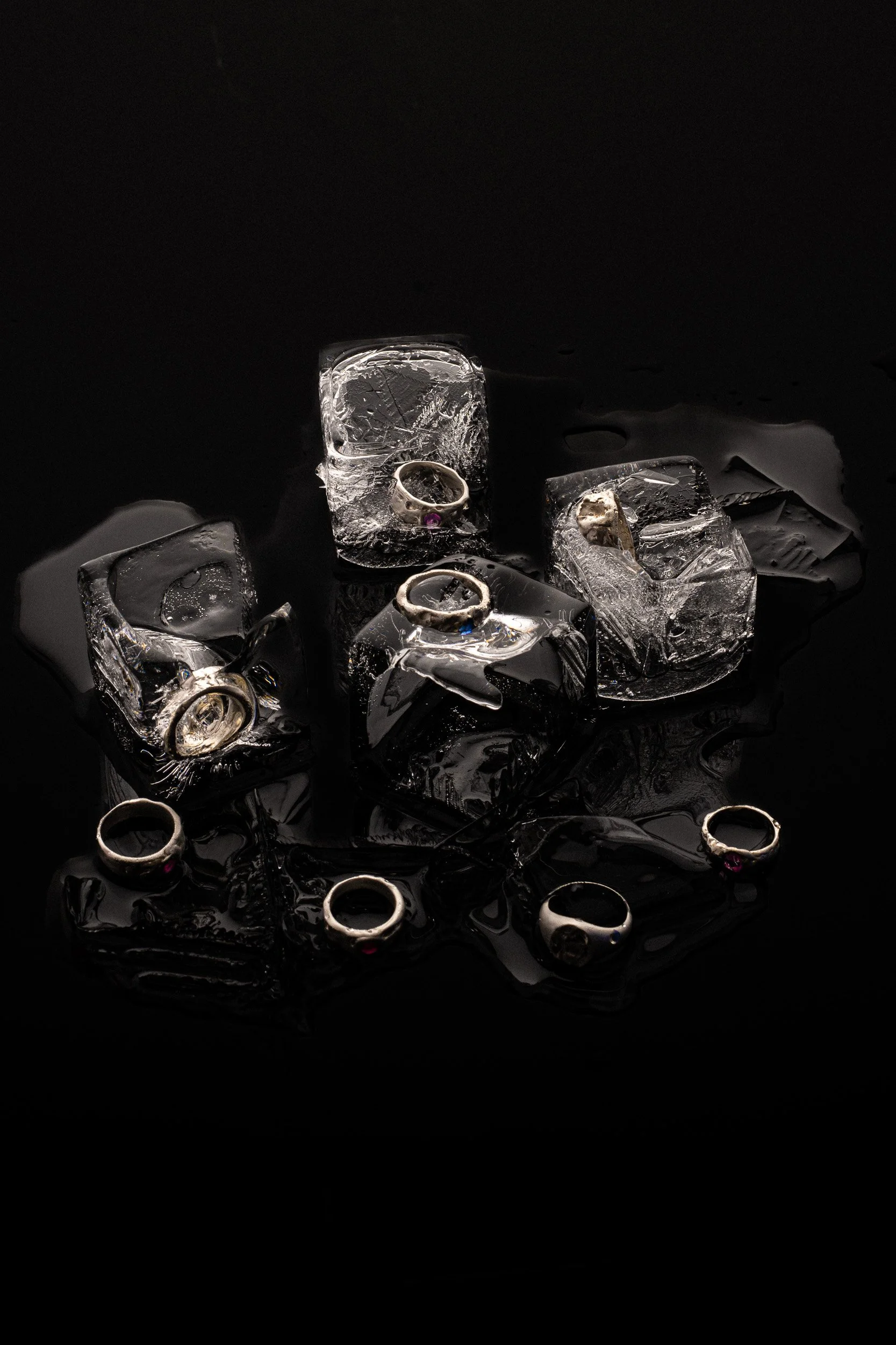 TOM_STILL_LIFE6142.jpg