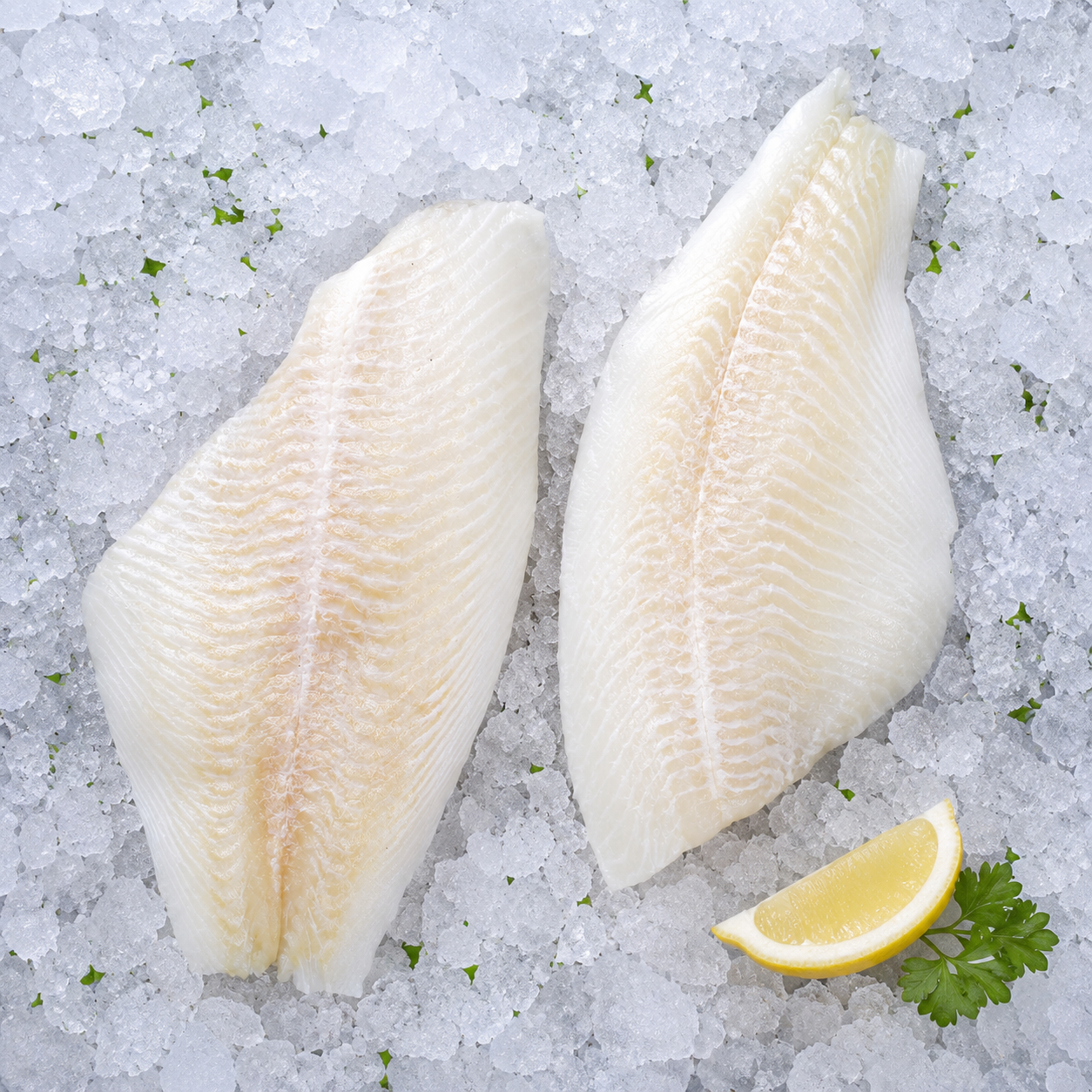 Flounder - $22.95