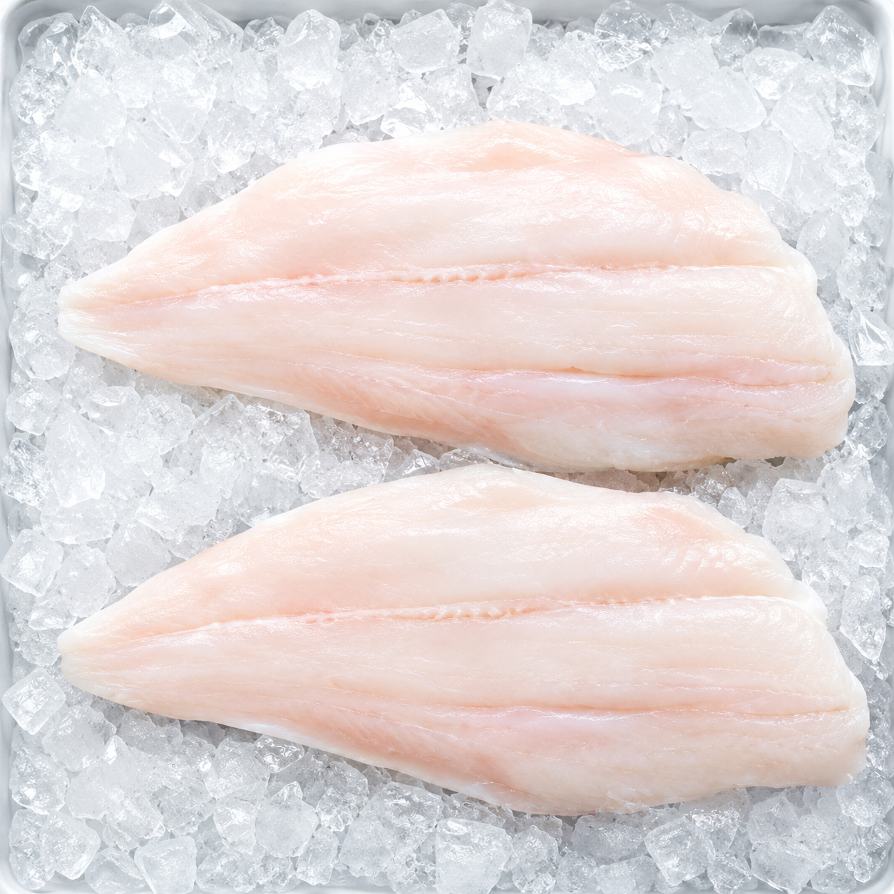 Turbot - $35.95 SOLD OUT

Sourced from Greenland! Turbot is a flat fish similar to Halibut or Flounder, and is big in fine dining, especially in Europe and the Middle East! 