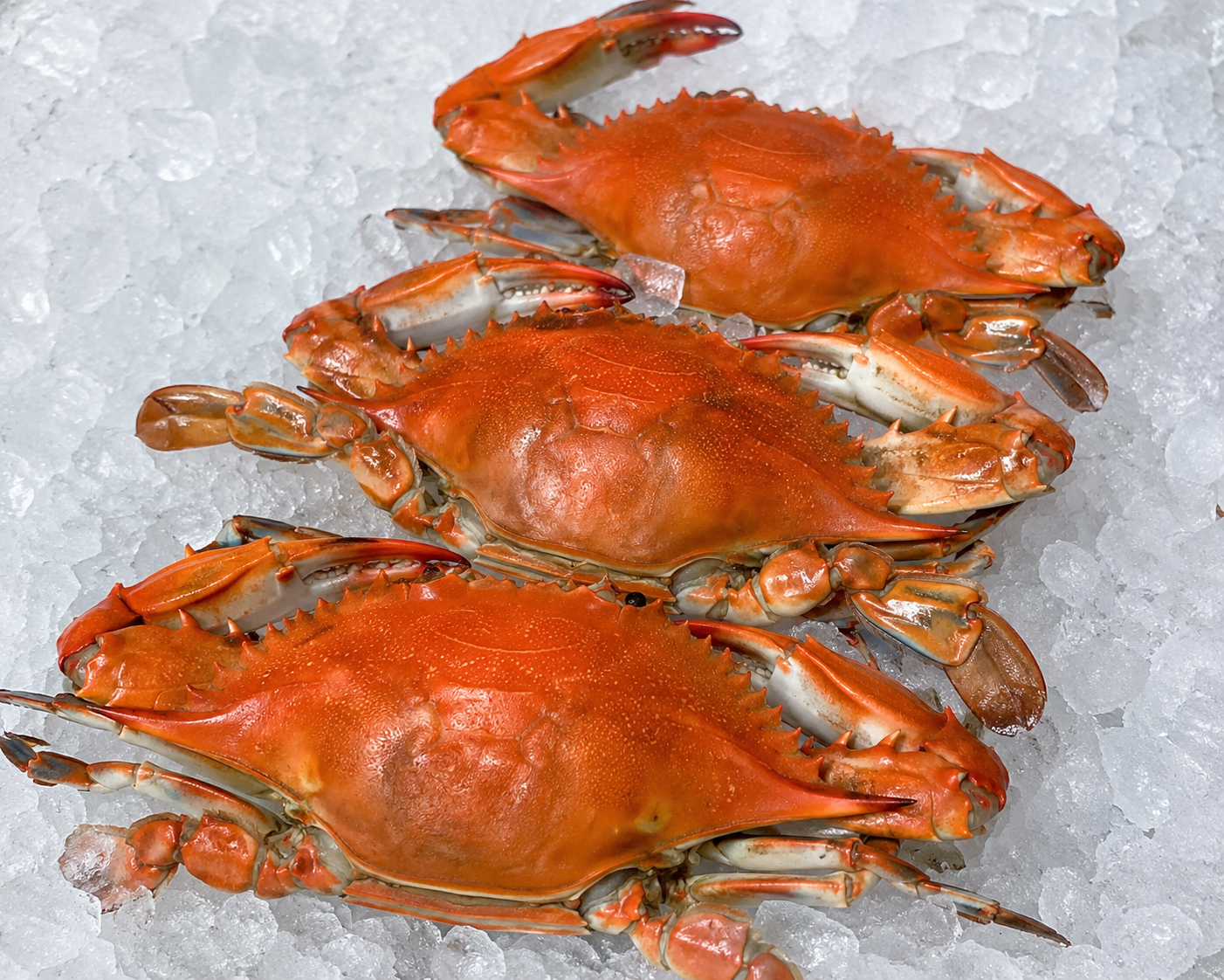North Carolina Whole Blue Crab - SOLD OUT $42 per dozen, $24 per 1/2 dozen. $13.50 per 3 ct.
Harvested fresh out of OBX! Pre-steamed, only need to reheat!