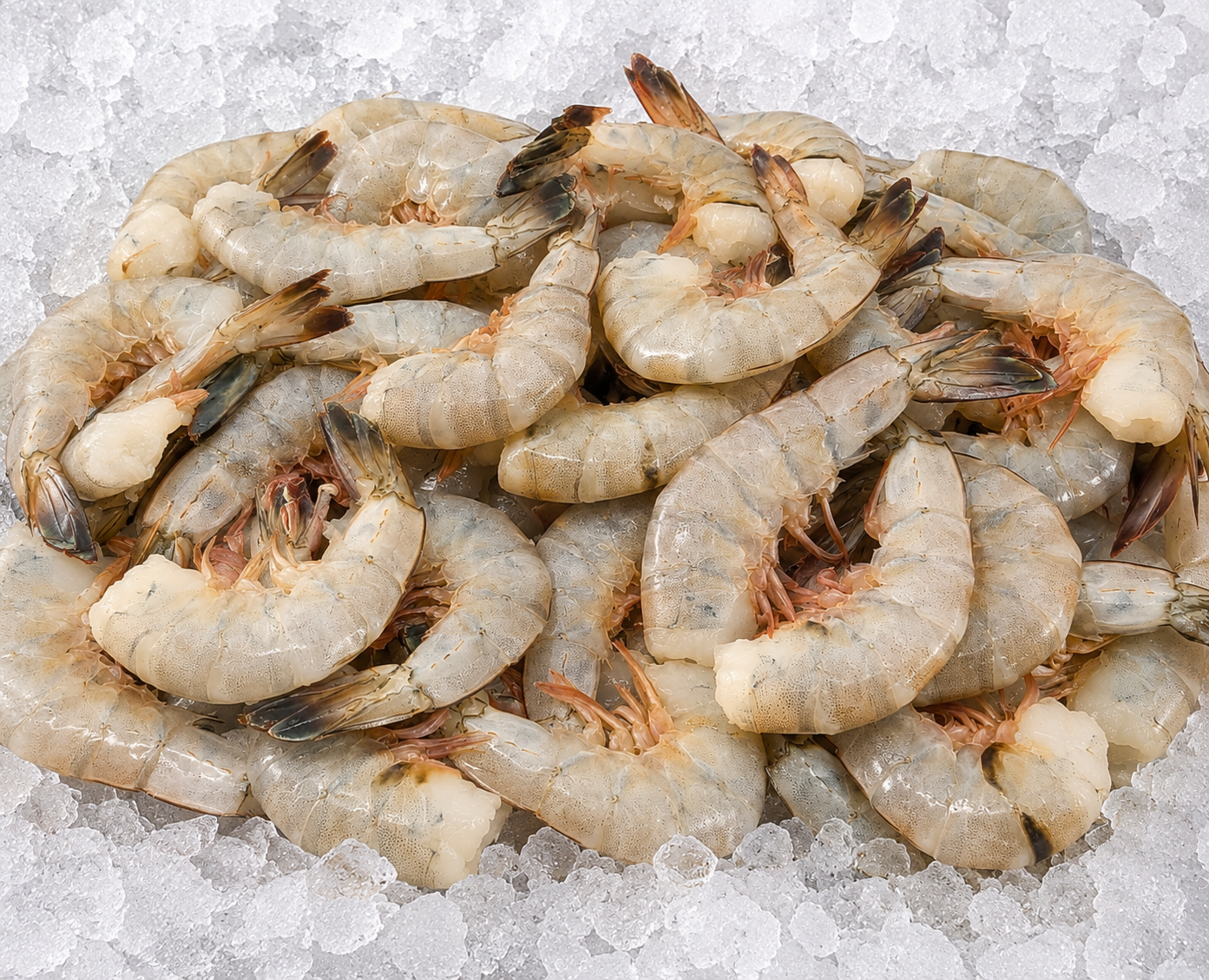North Carolina Jumbo Shrimp - $13.95

Headless tails, 21/25 ct per pound