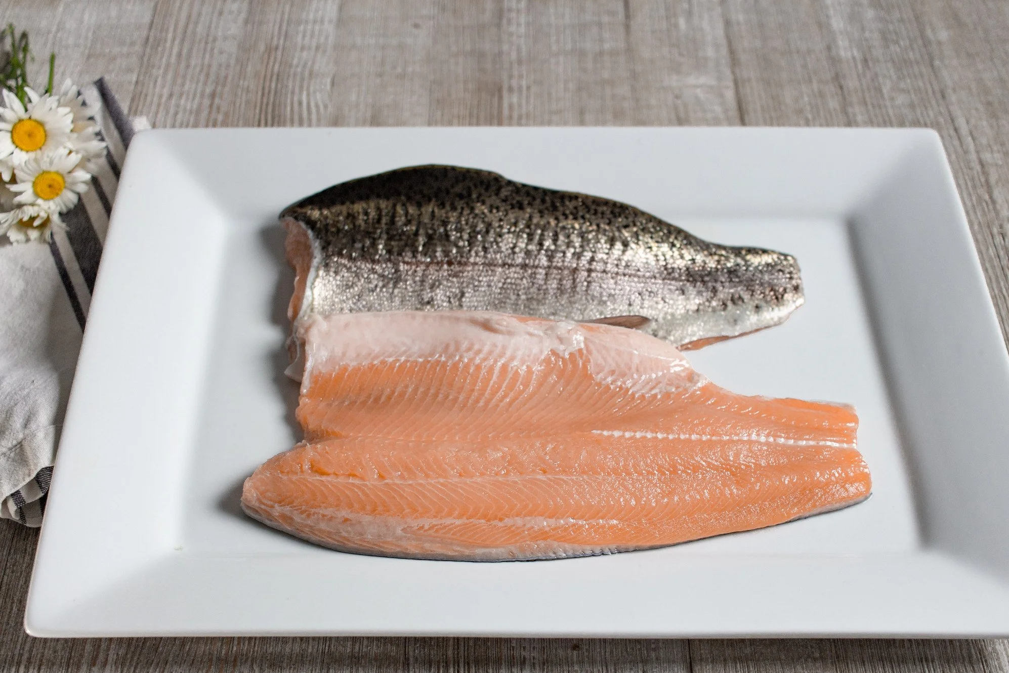 Rainbow Trout - COMING SOON