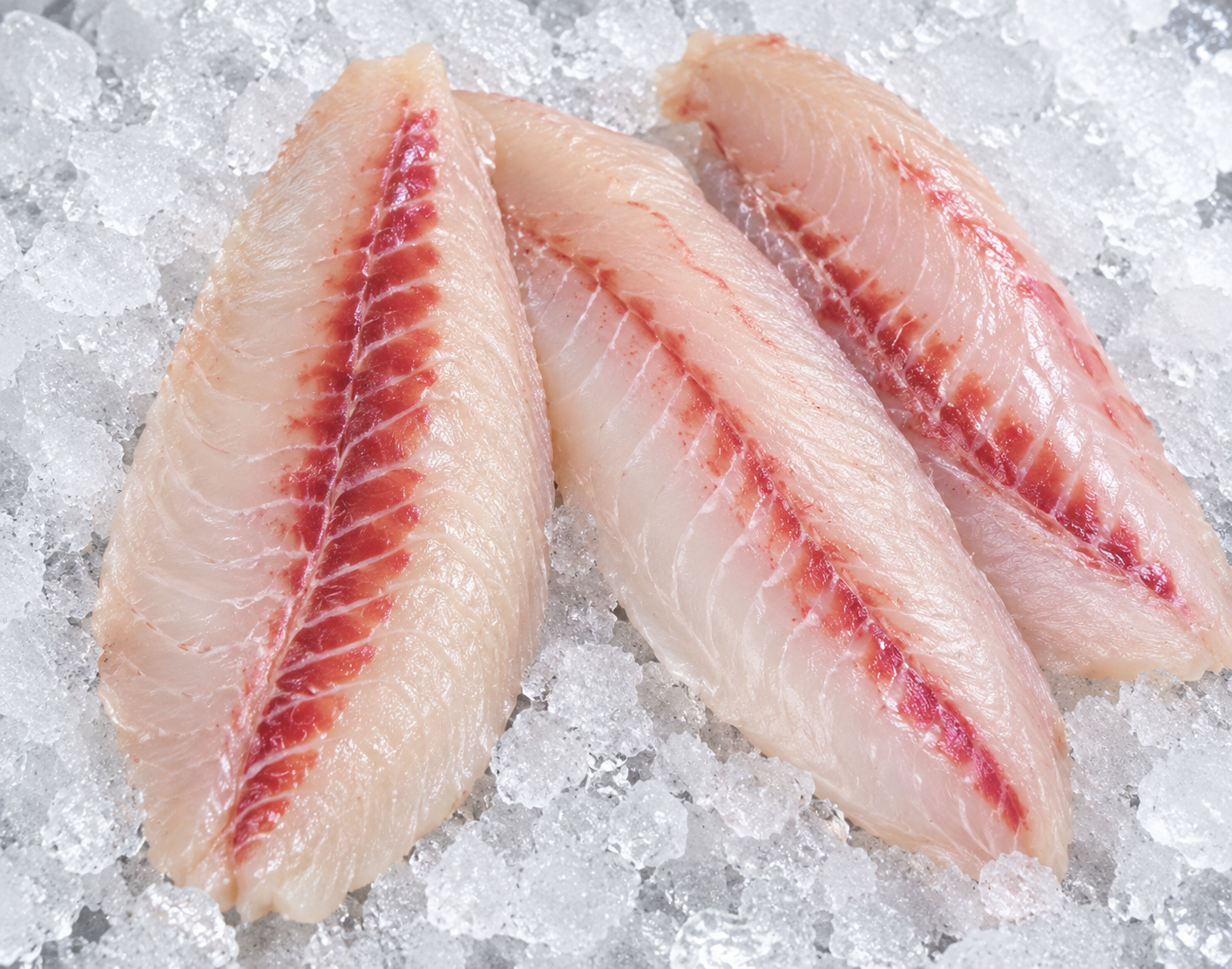 Sheepshead - $25.95

Sourced locally North Carolina coast. Always caught fresh same week!
