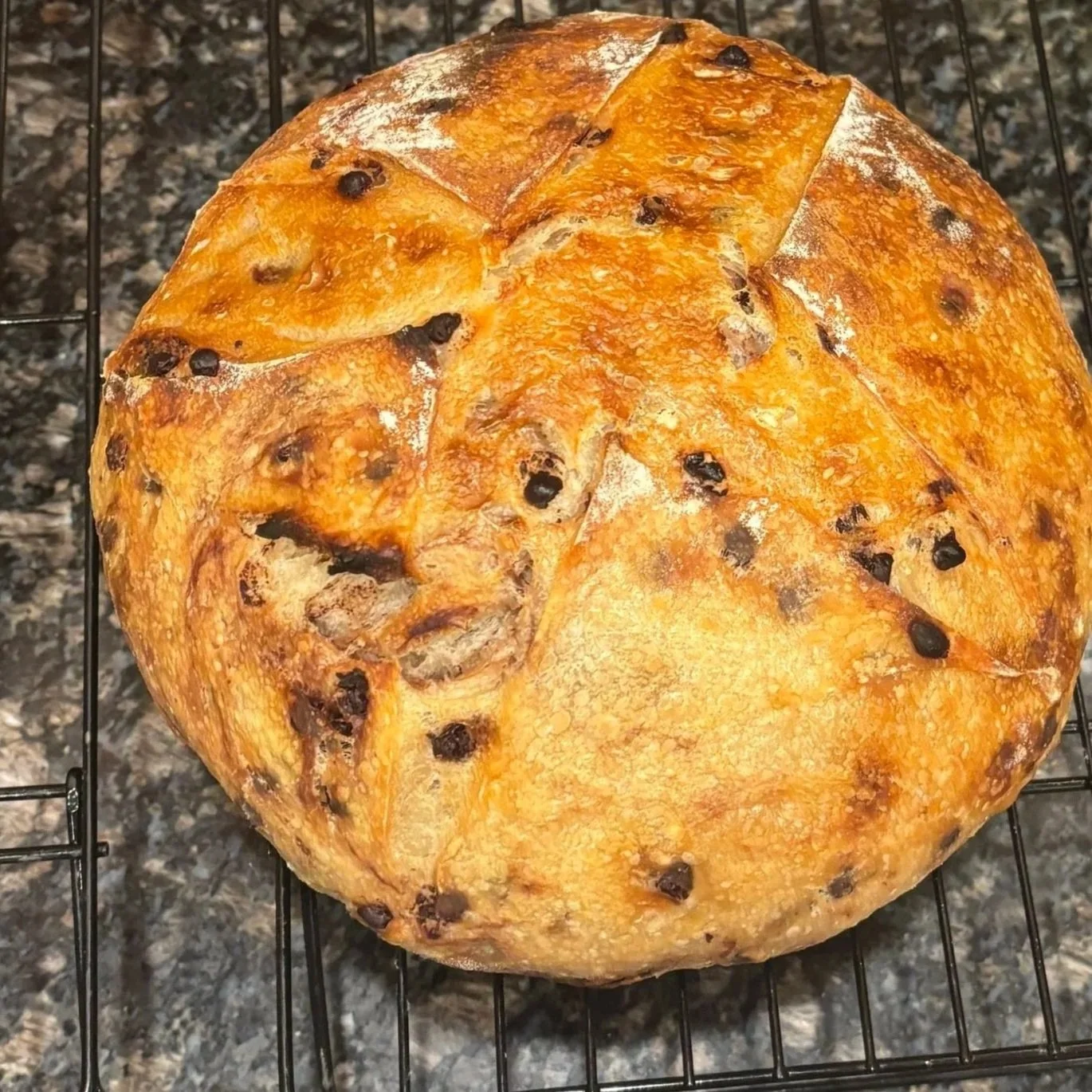 Chocolate Chip Sourdough Loaf