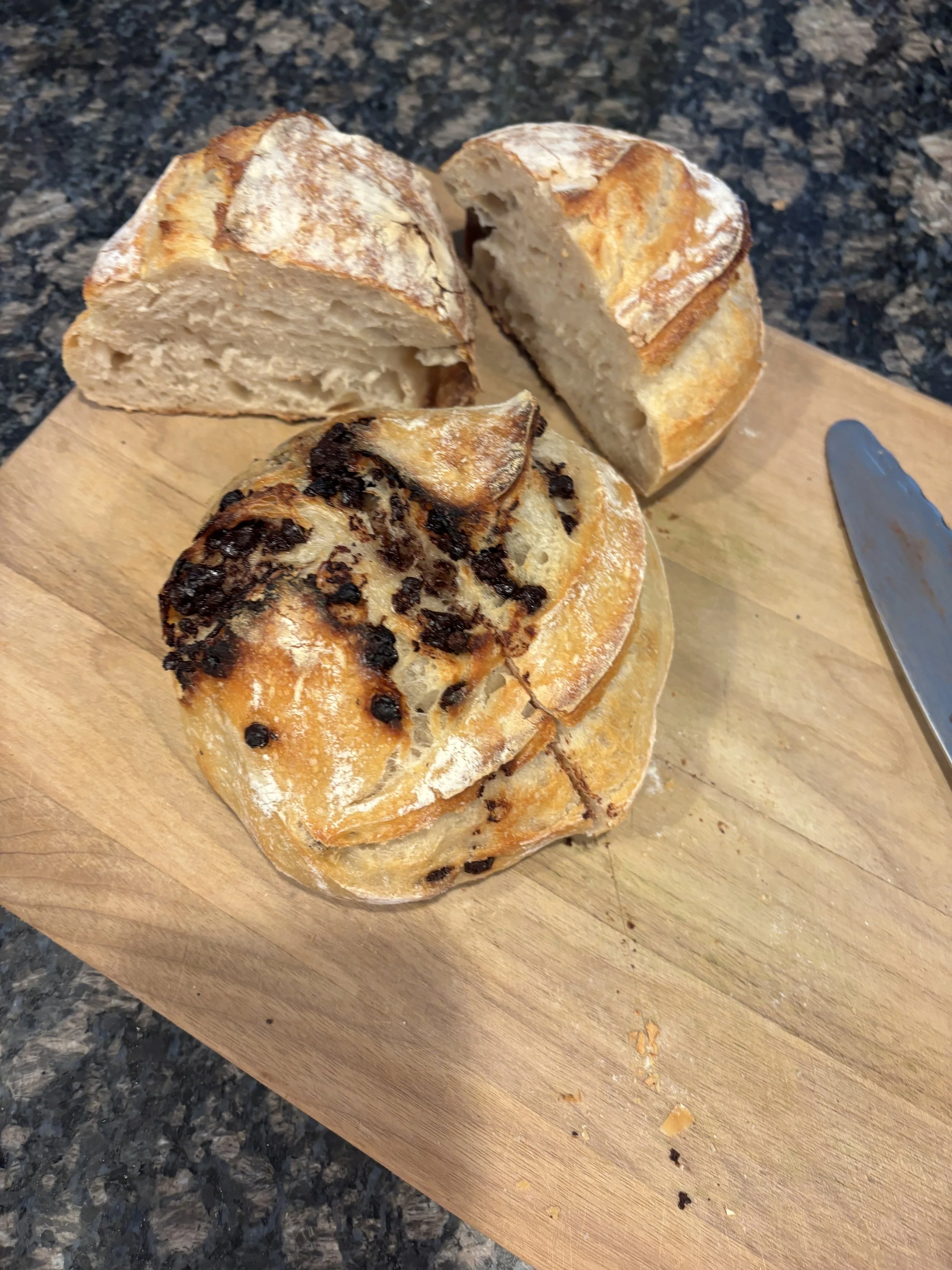 Chocolate Chip Sourdough Loaf