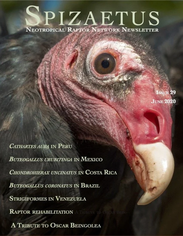 Spizaetus #29 — June 2020
