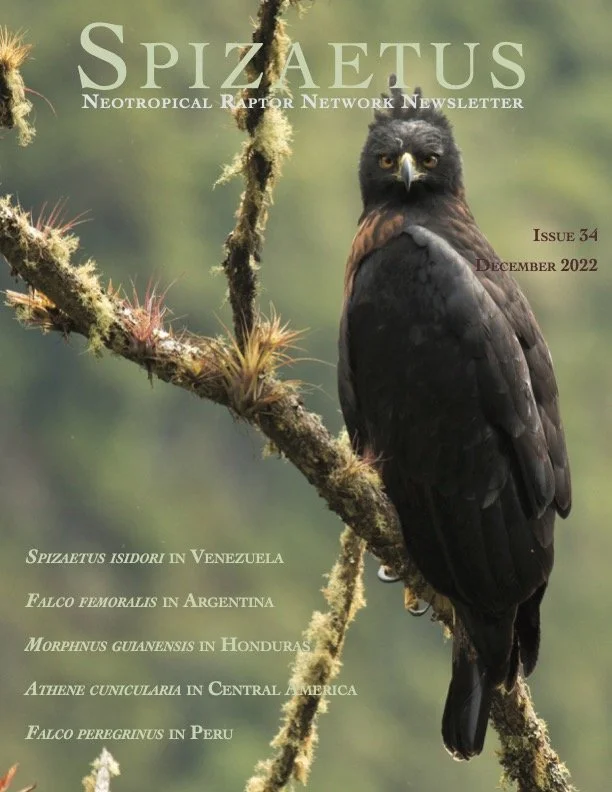 Spizaetus #34 — December 2022