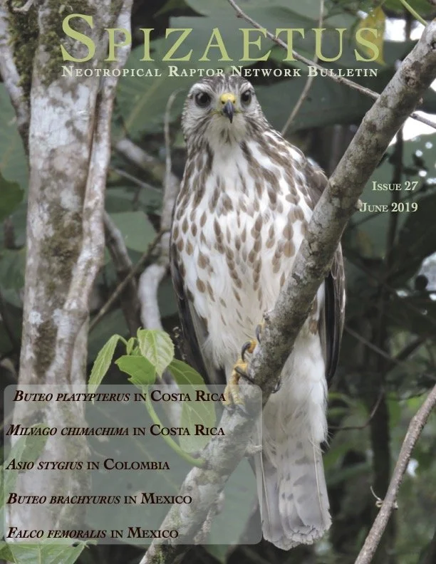 Spizaetus #27 — June 2019
