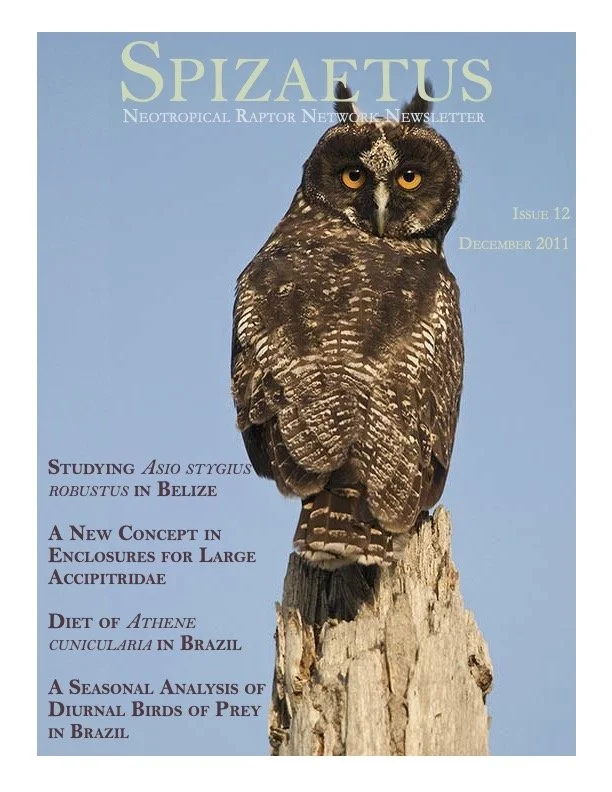 Spizaetus #12 — December 2011