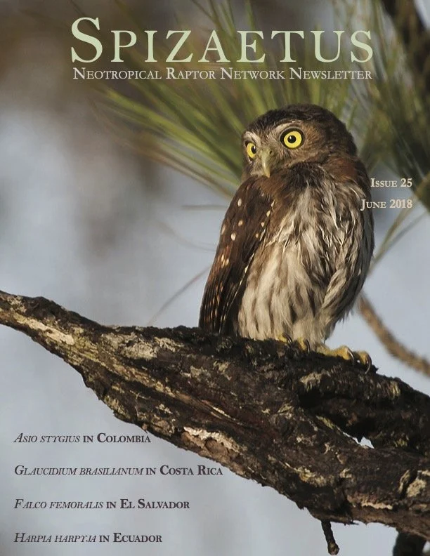 Spizaetus #25 — June 2018
