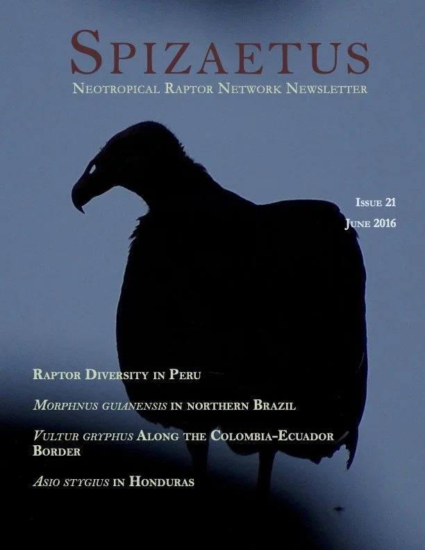Spizaetus #21 — June 2016