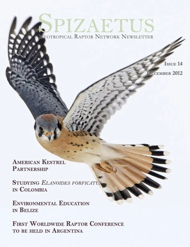 Spizaetus #14 — December 2012