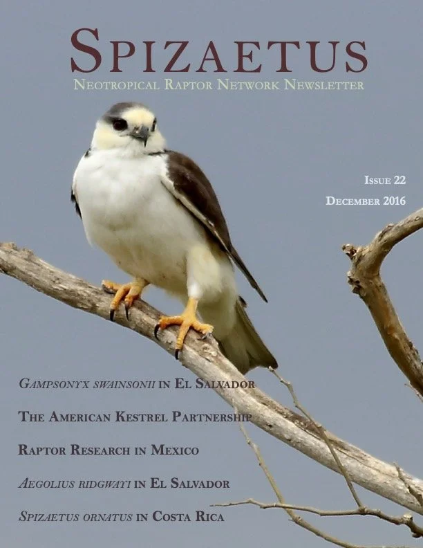 Spizaetus #22 — December 2016