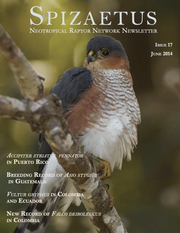 Spizaetus #17 — June 2014