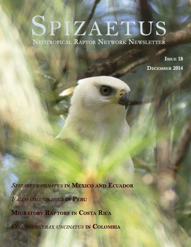 Spizaetus #18 — December 2014