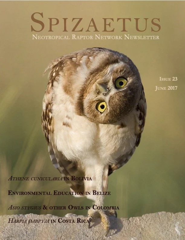 Spizaetus #23 — June 2017