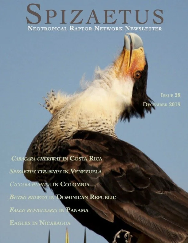 Spizaetus #28 — December 2019